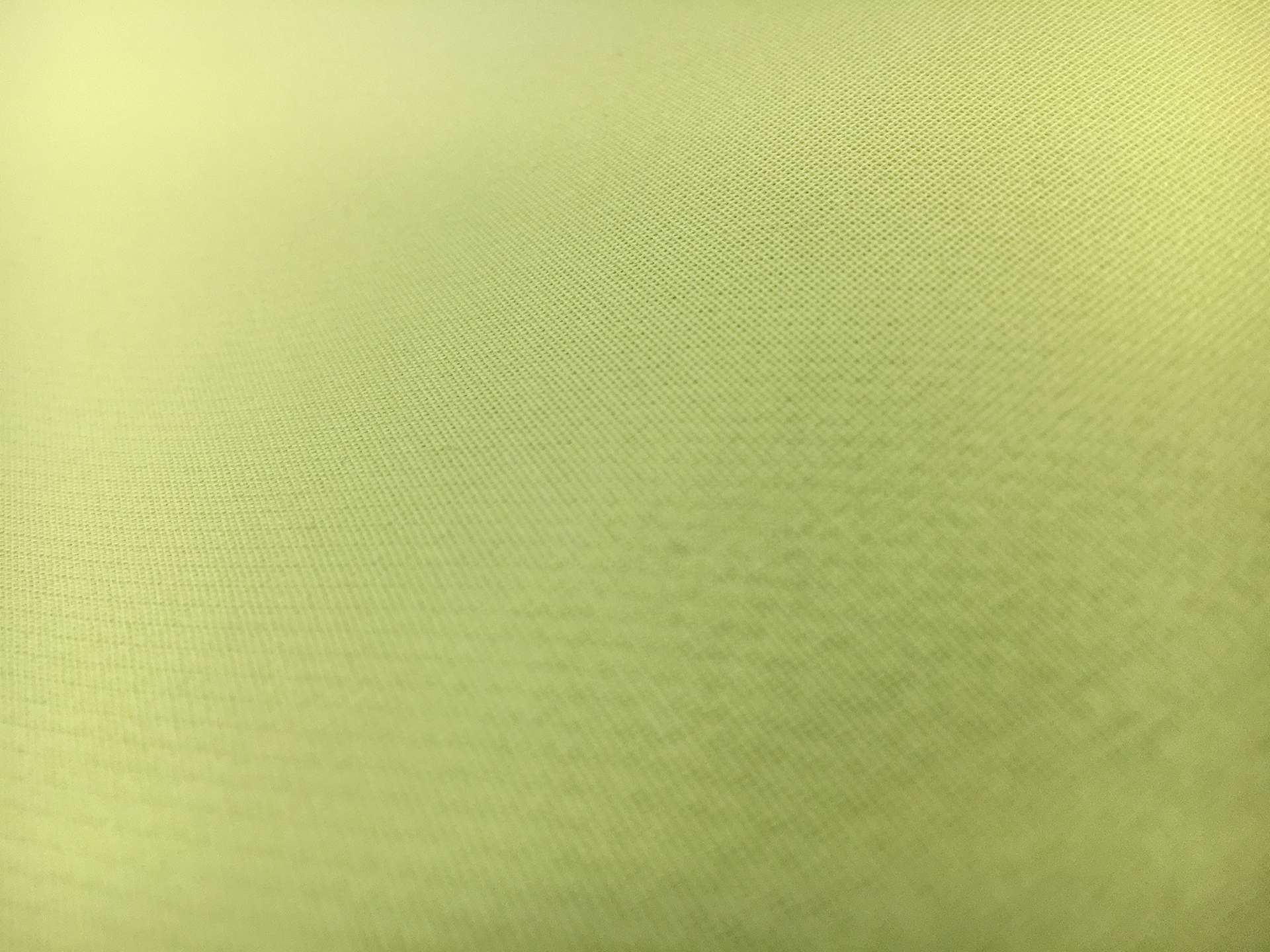 Silk Gazar in Celery