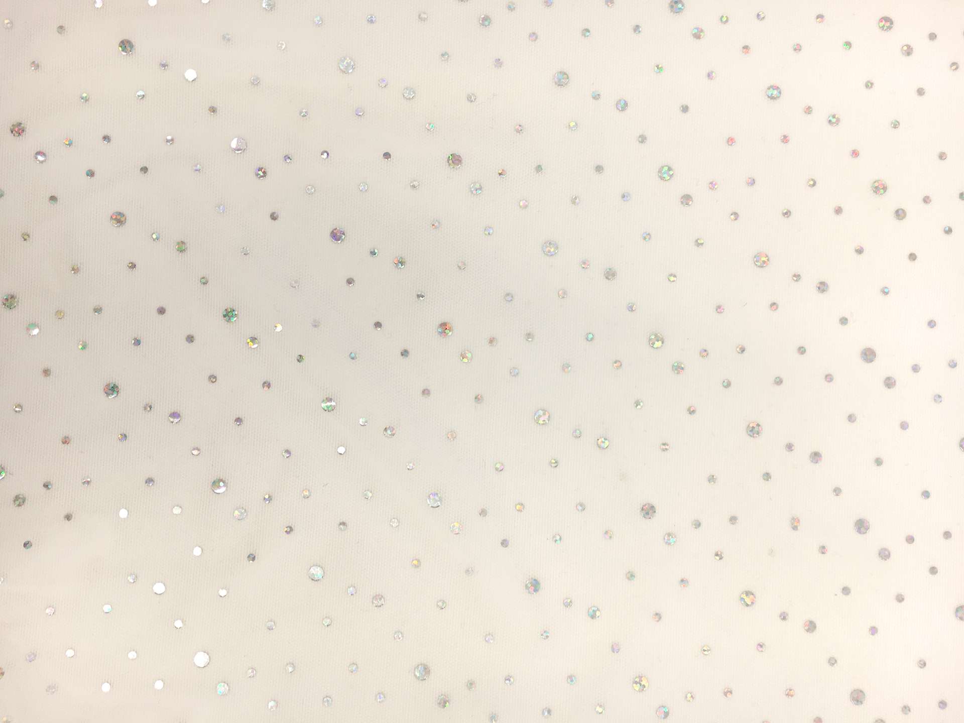 Hologram Tulle in Ivory