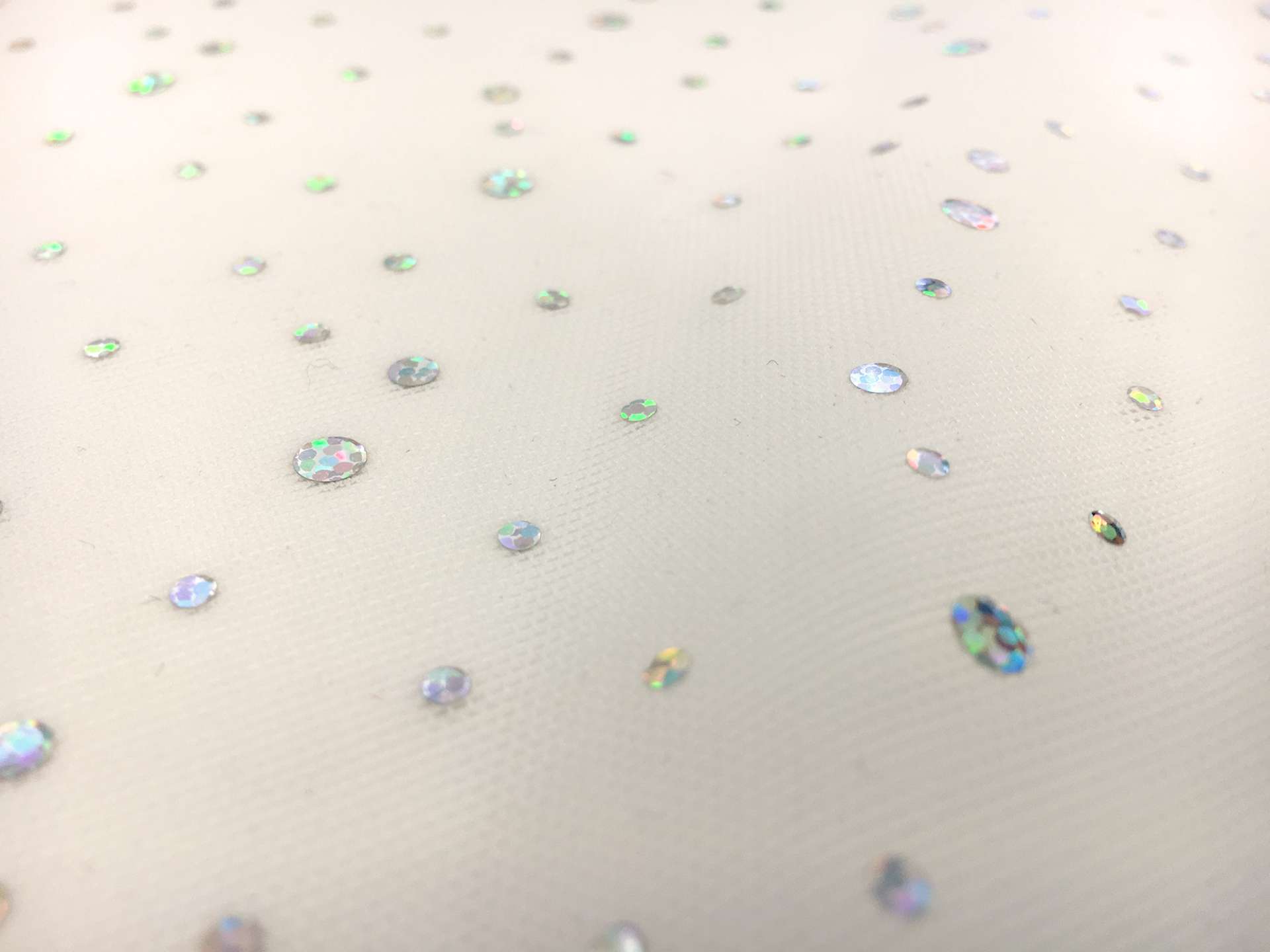 Hologram Tulle in Ivory