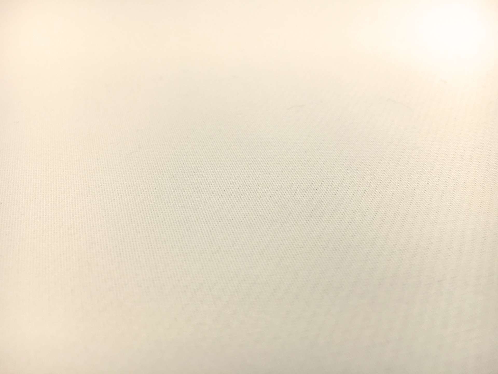 Pure Silk Gazar in Ivory