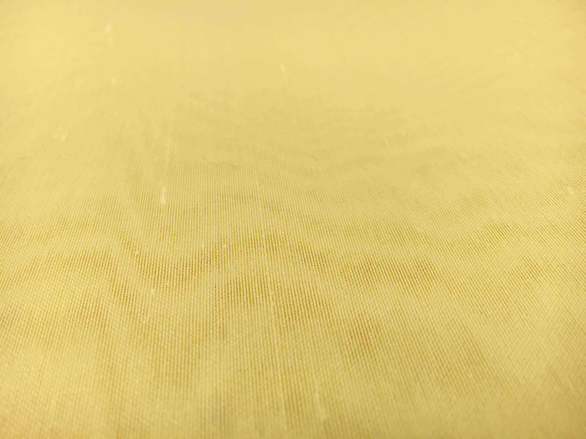 Silk Gazar with Slubs 