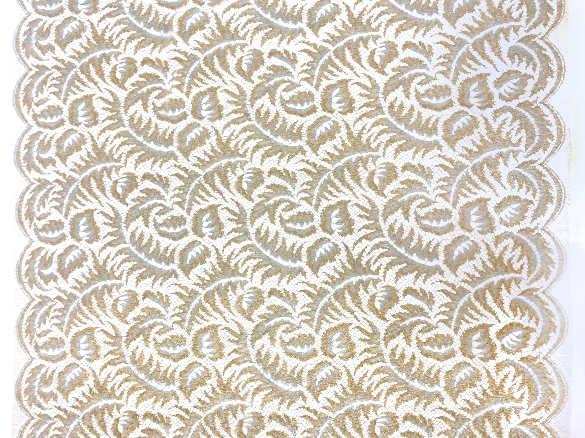 White background