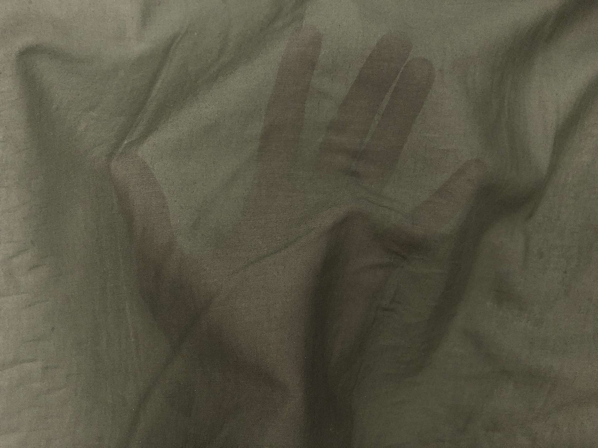 Japanese Washed Cotton Lawn in Seaweed