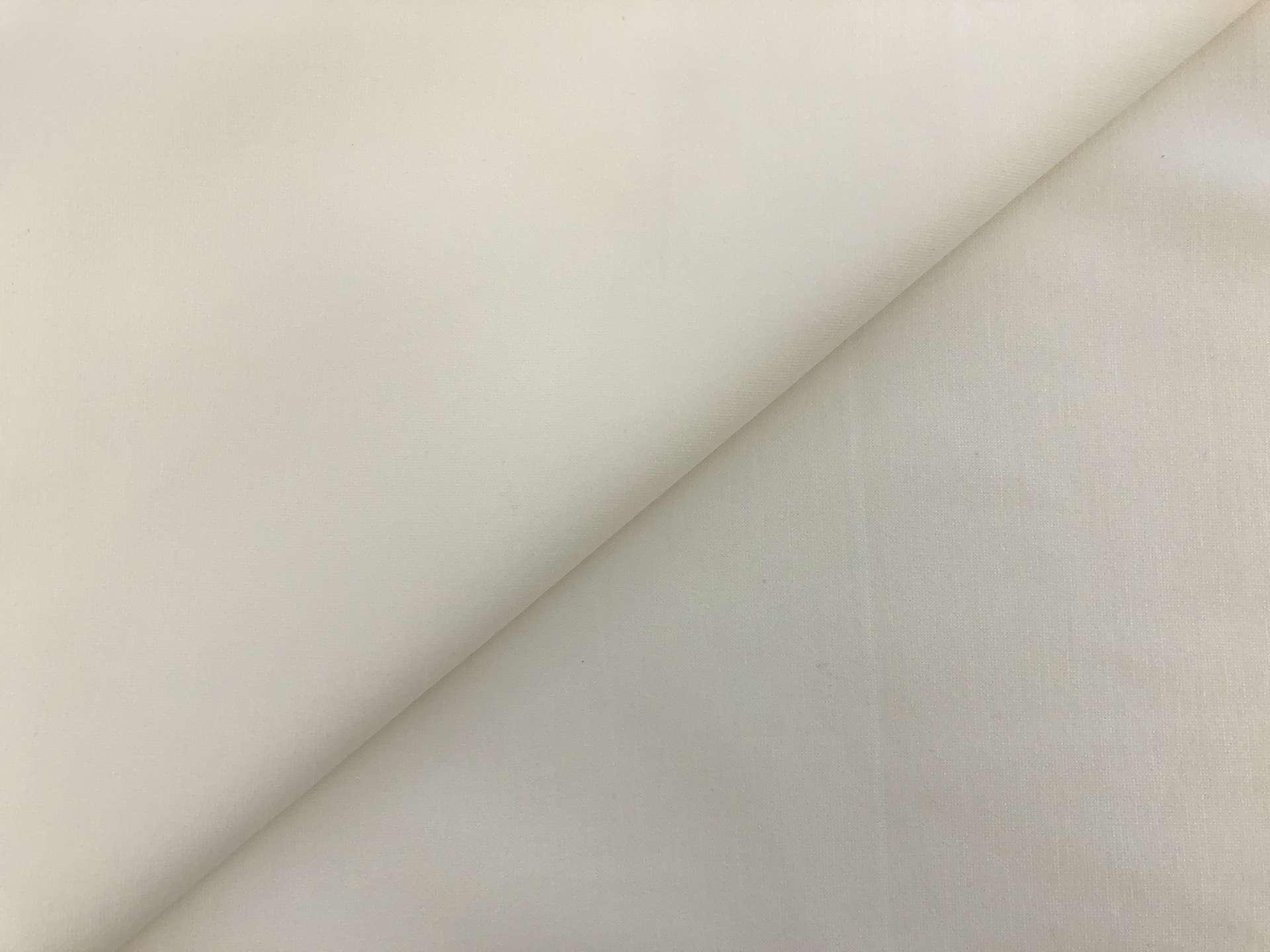 Lightweight Rayon Blend Ponte Knit in Off White