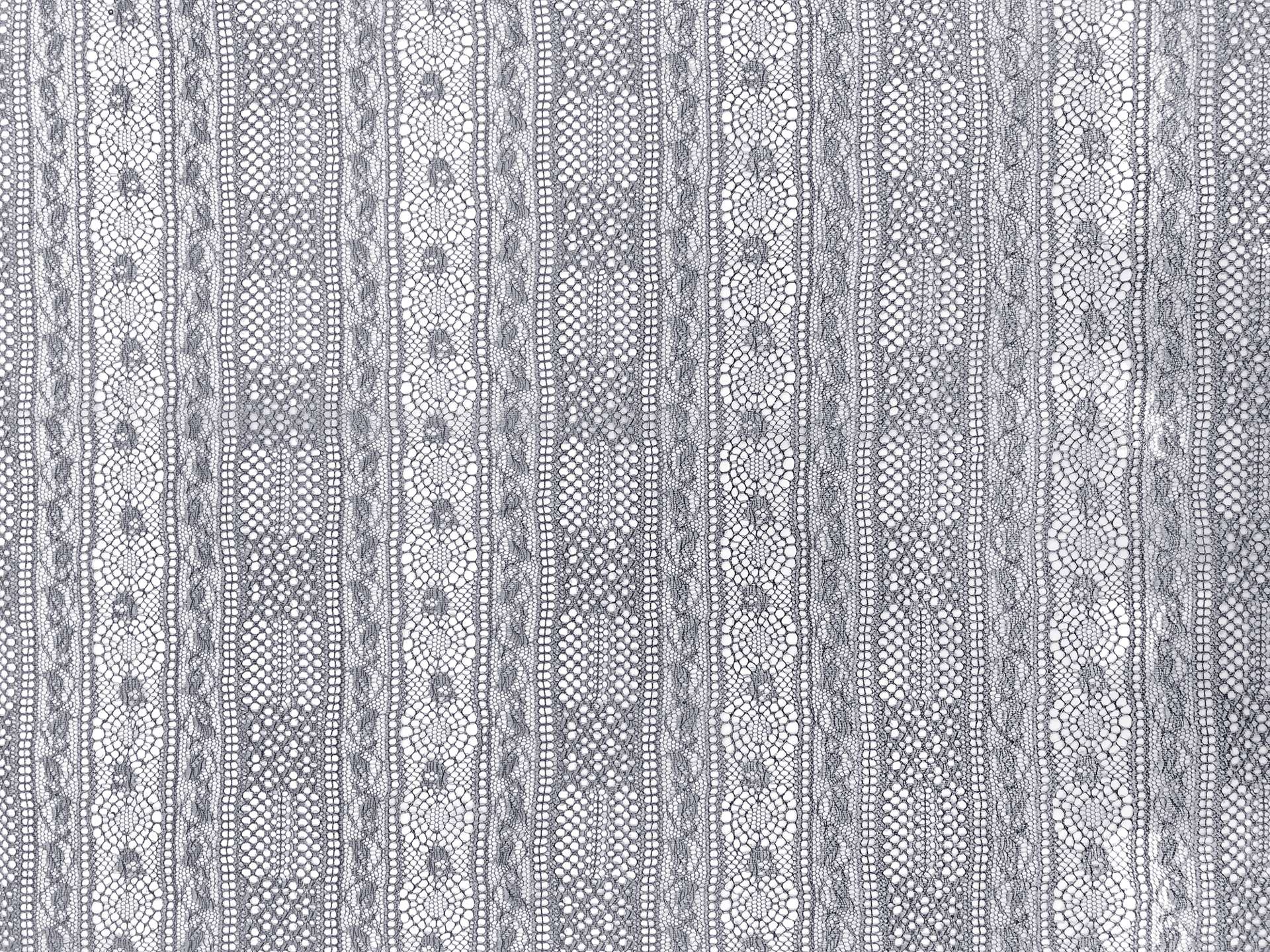 Metallic Lace with Ornamental Stripes in Navy and Silver 