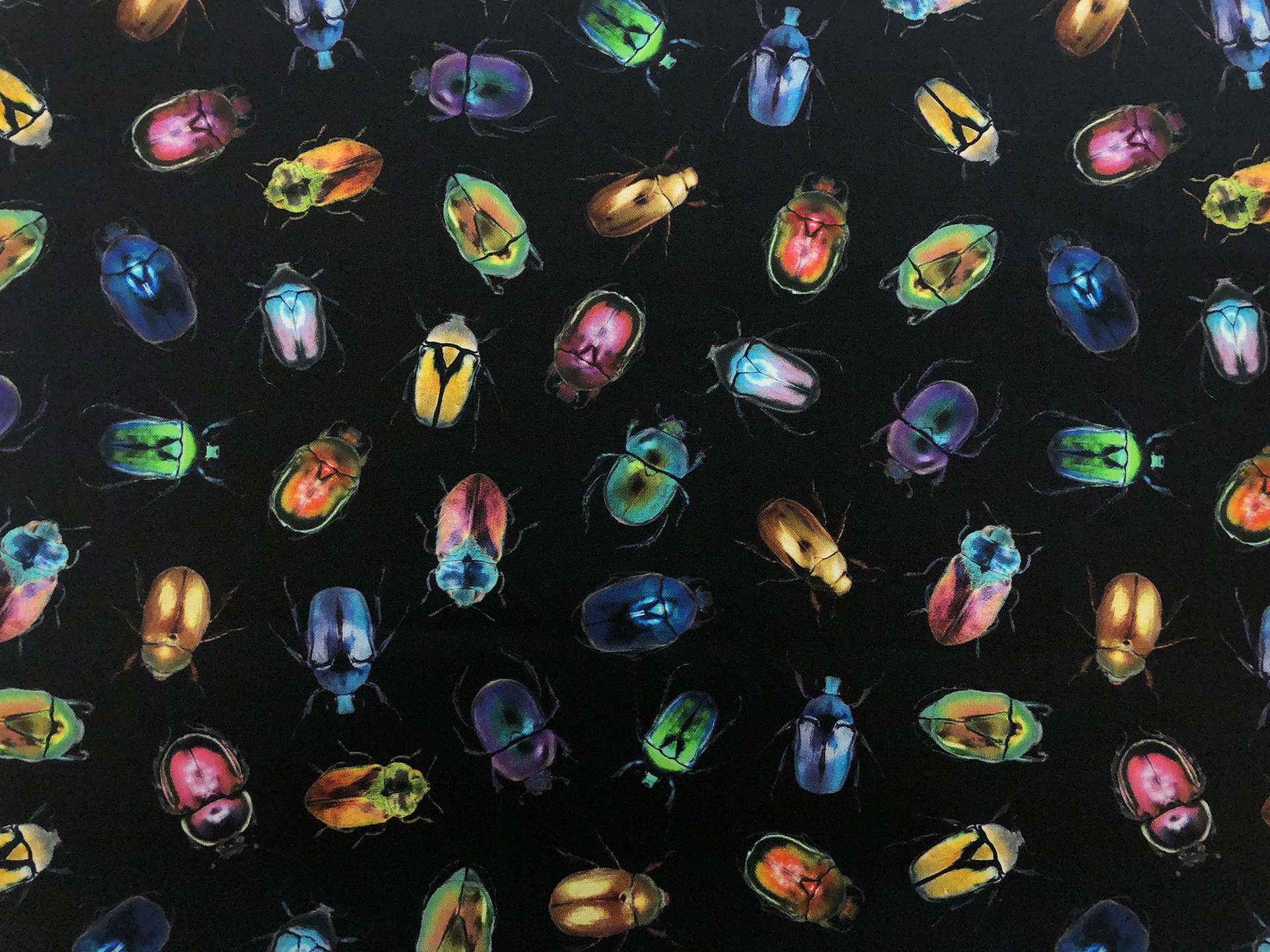 Cotton Broadcloth Digital Print Beetles on Black