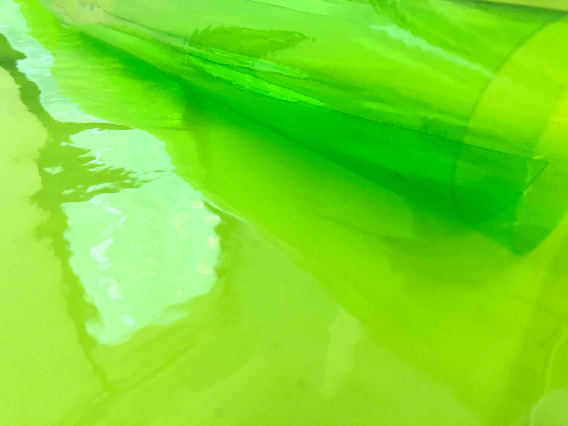 Clear Tinted Plastic in Green