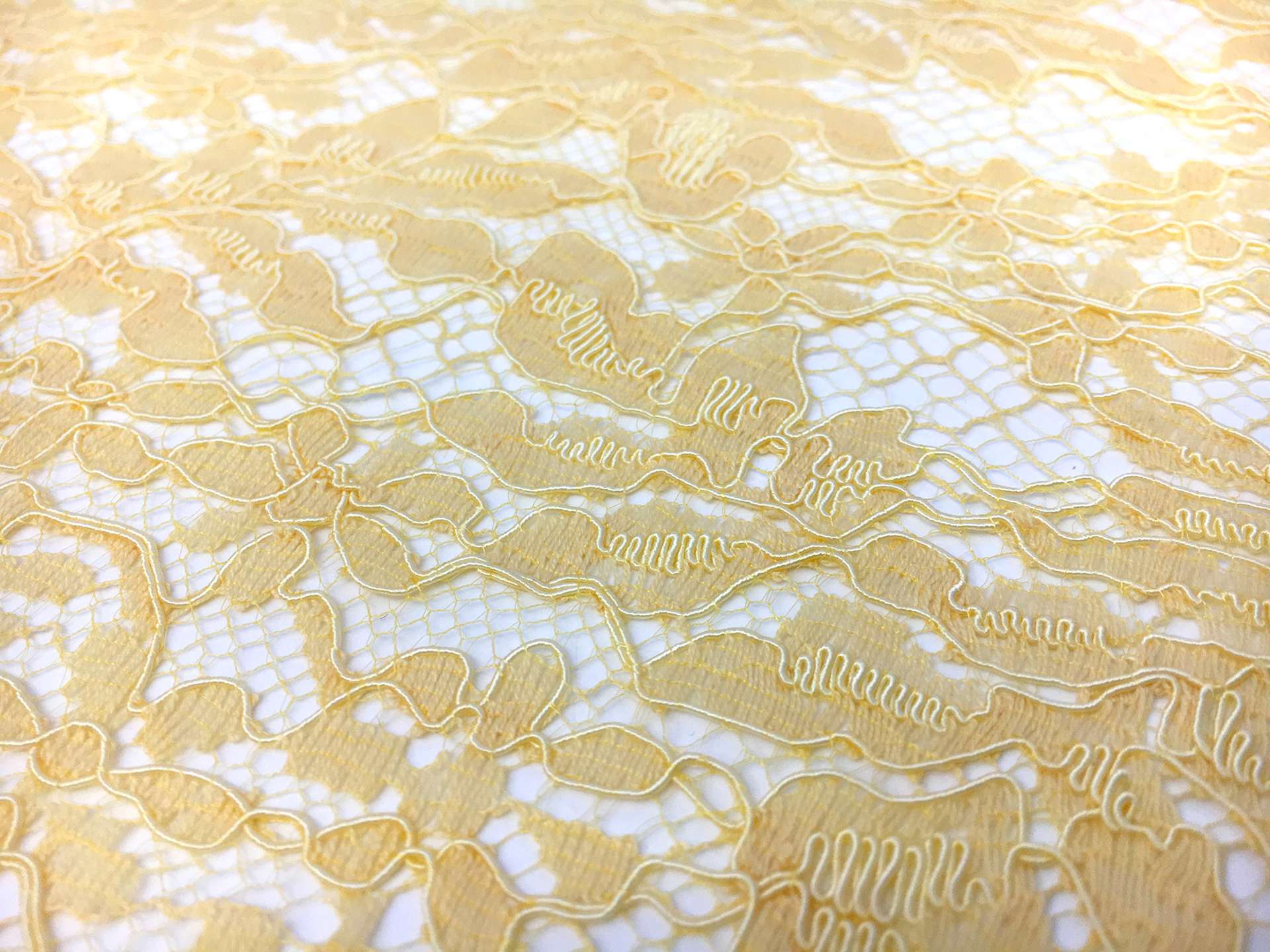 French Corded Chantilly Lace in Butter