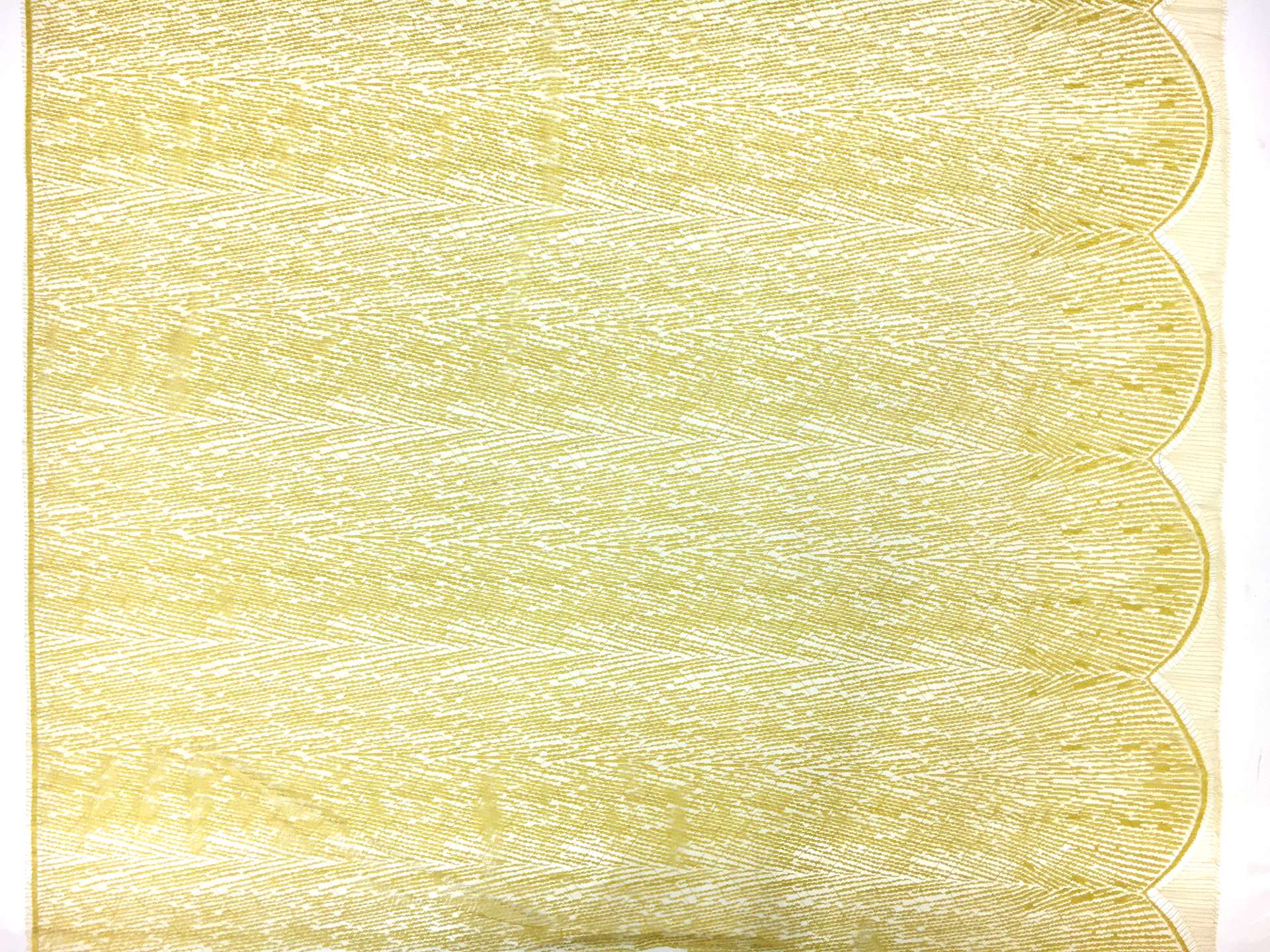 Single Scallop French Chantilly Lace in Goldenrod