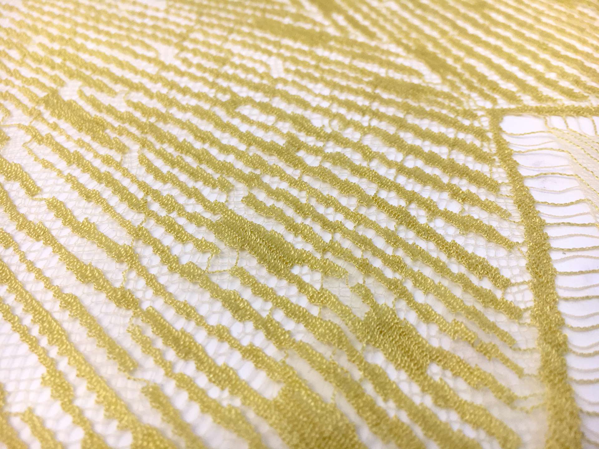 Single Scallop French Chantilly Lace in Goldenrod