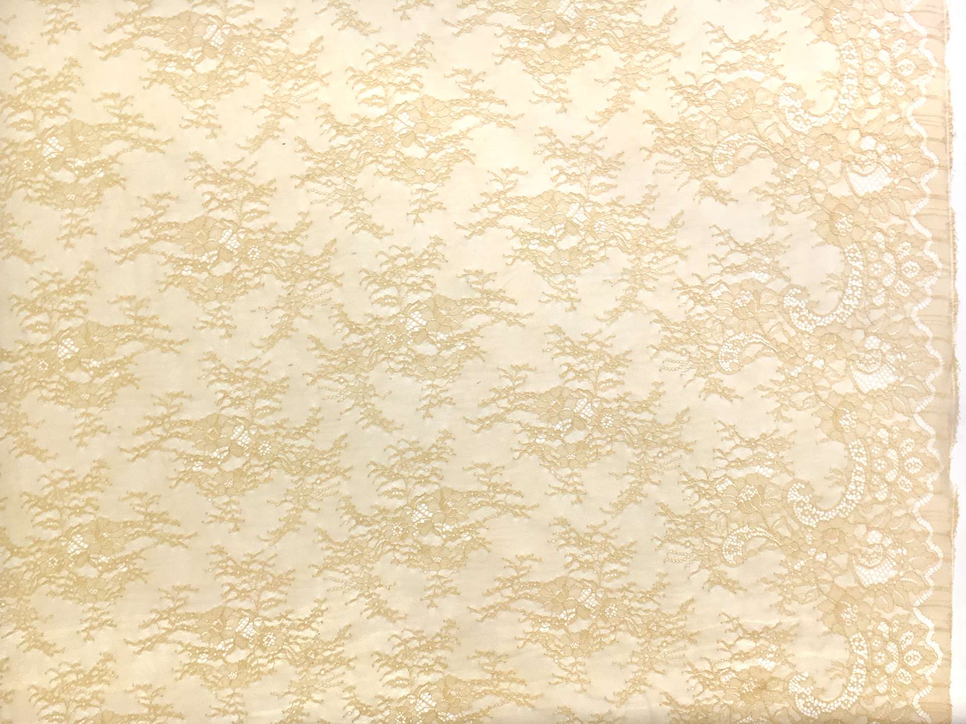 Wide Chantilly Lace in Goldenrod