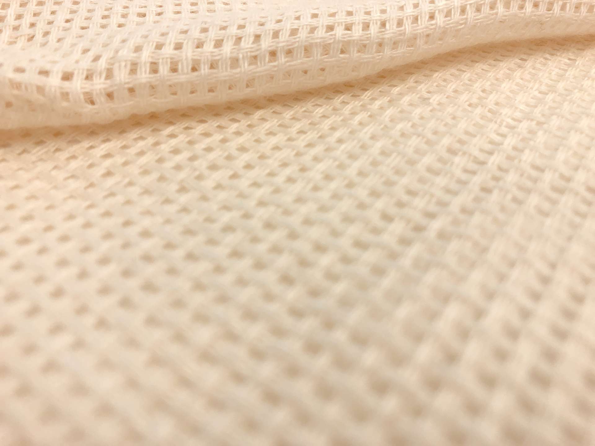 Linen Mesh in Ecru