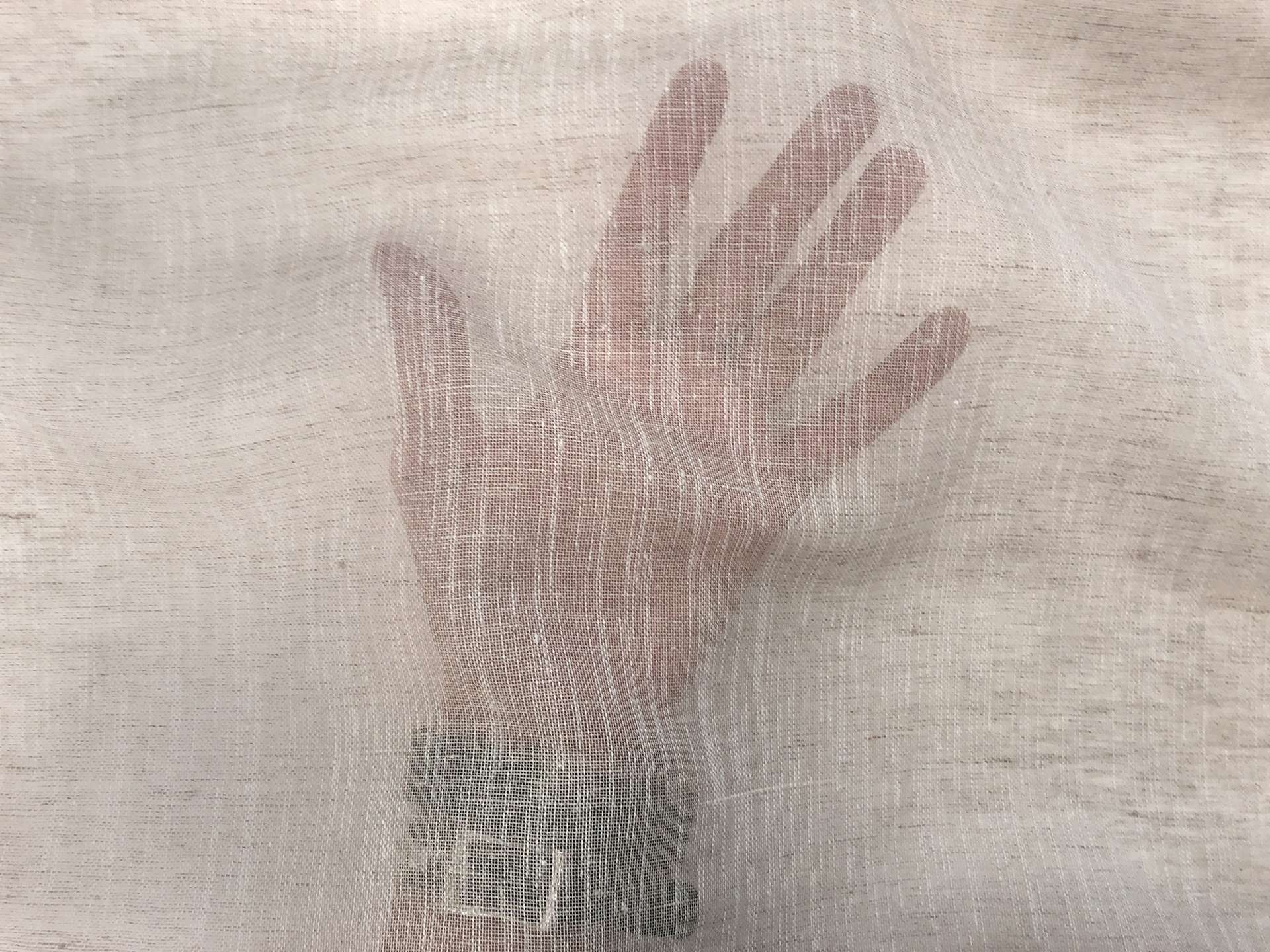 Linen Poly Blend Sheer Mesh in Oatmeal
