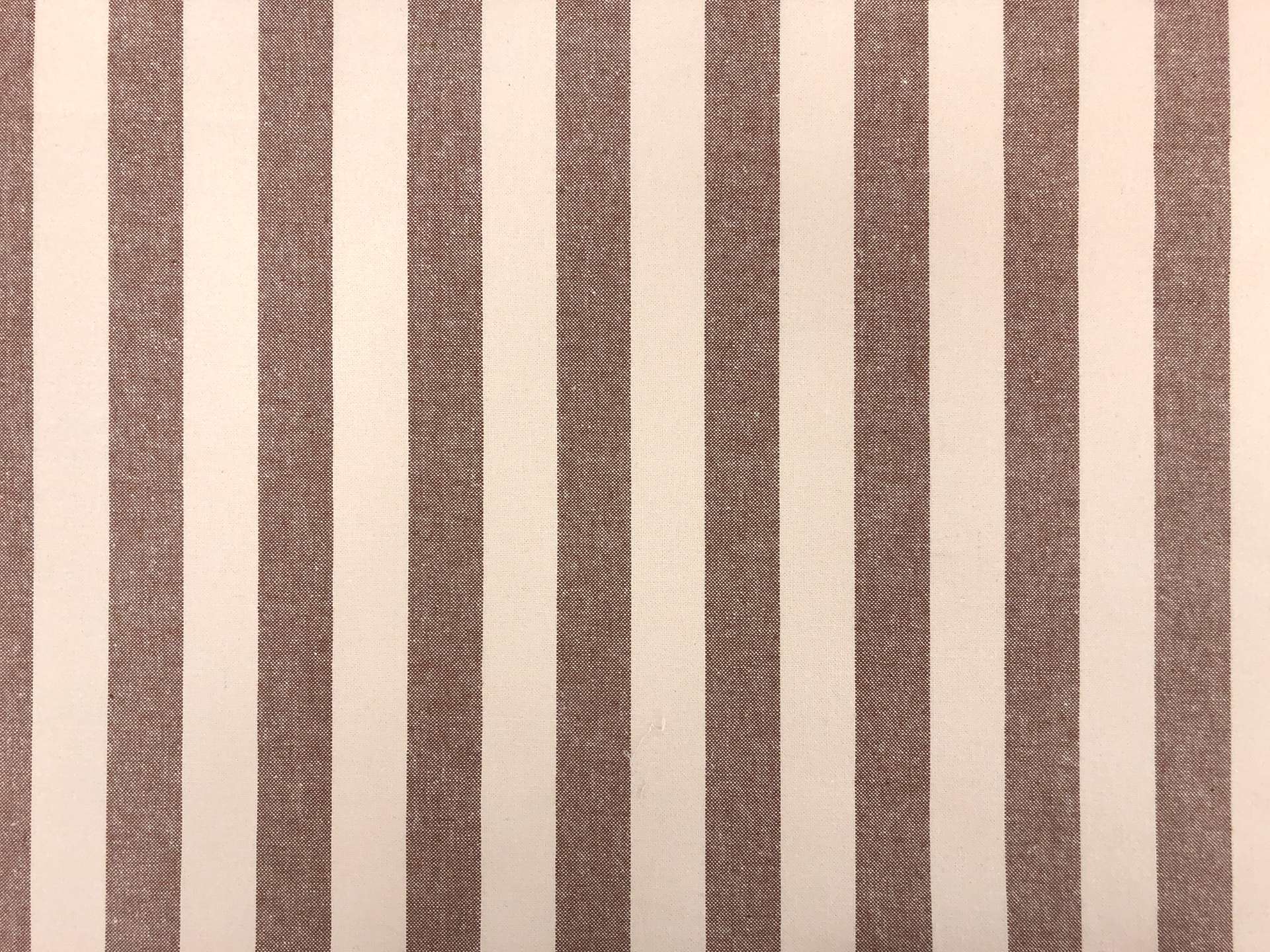 Cotton Canvas 1" Stripe in Irish Coffee