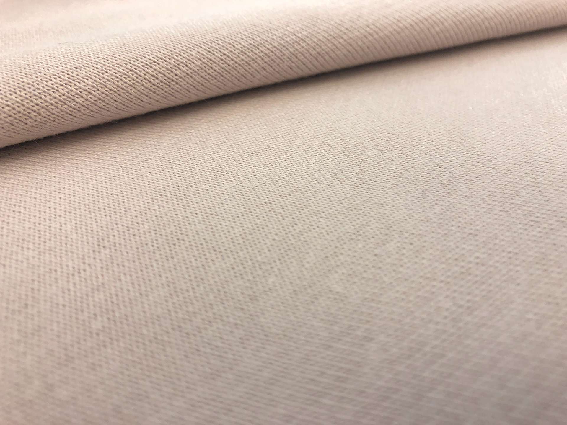 Japanese 11 oz French Terry Knit in Blush