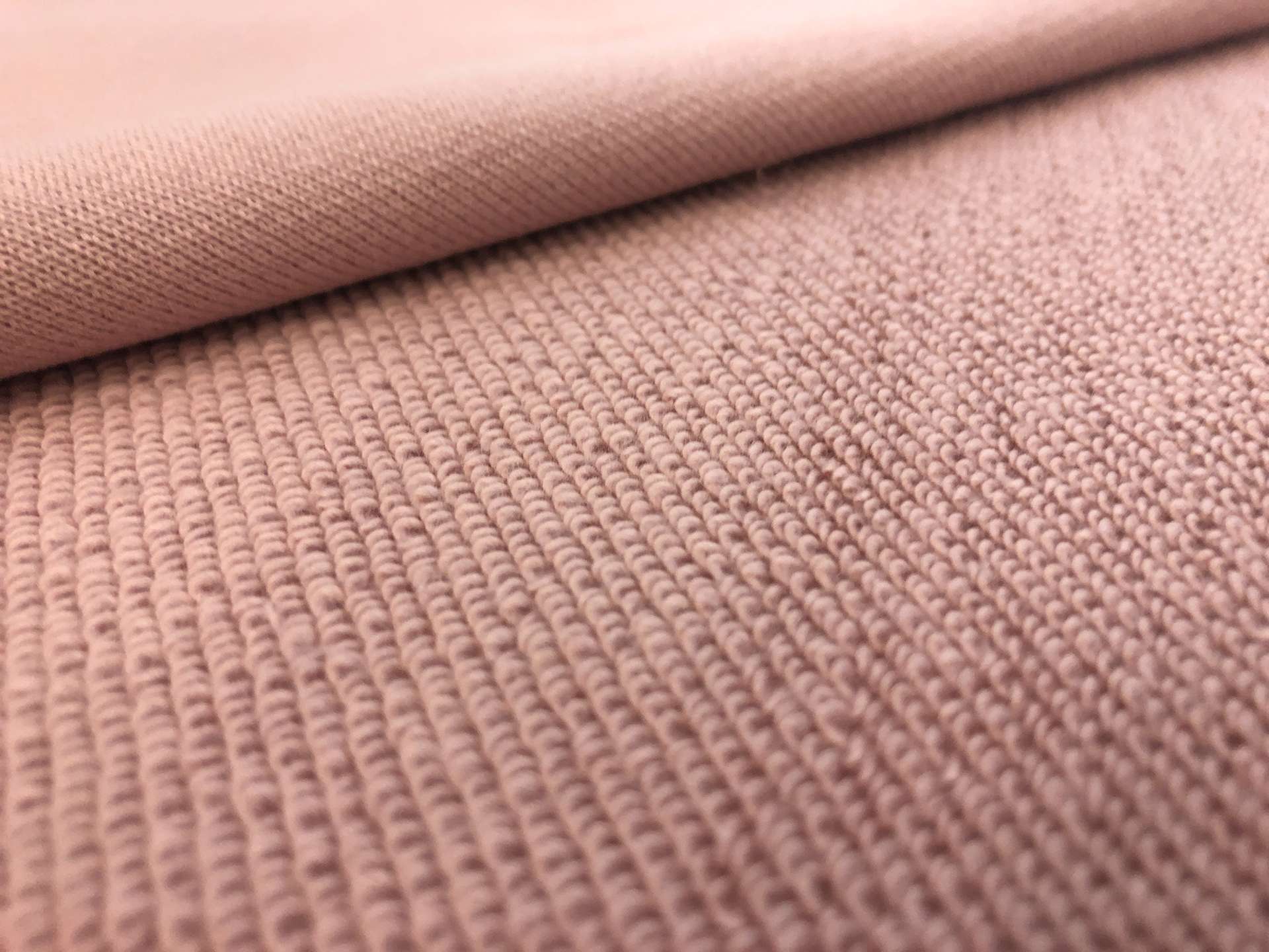 Japanese French Terry Knit in Rose