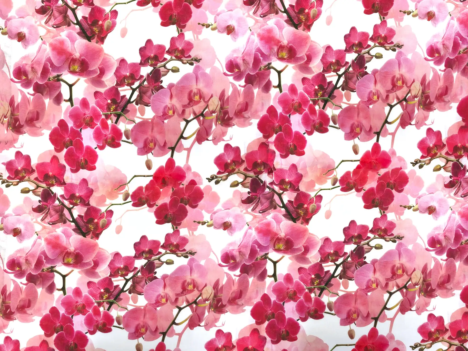 Linen Handkerchief with Tropical Orchids Print