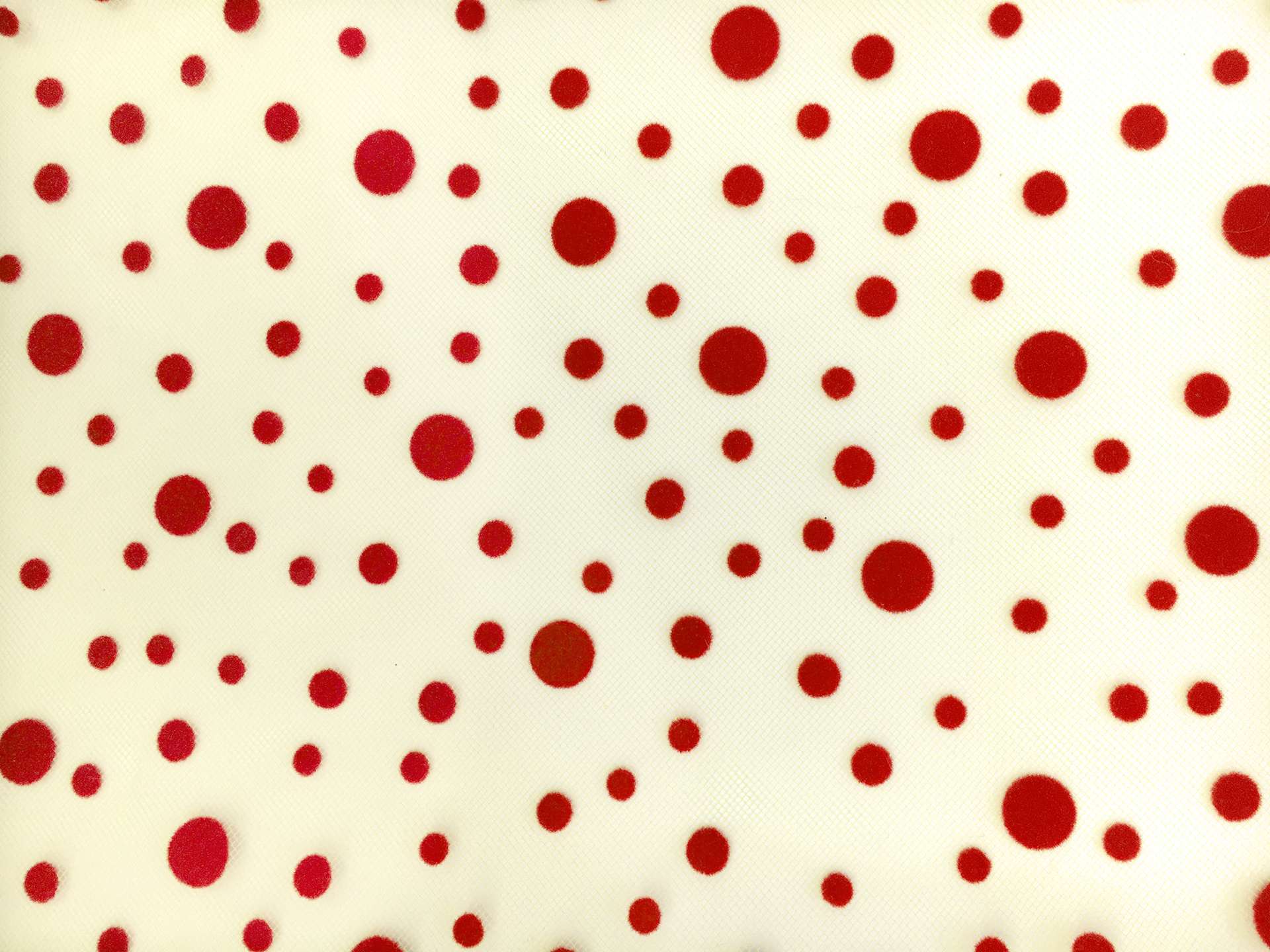 Flocked Polka Dots on Tulle 