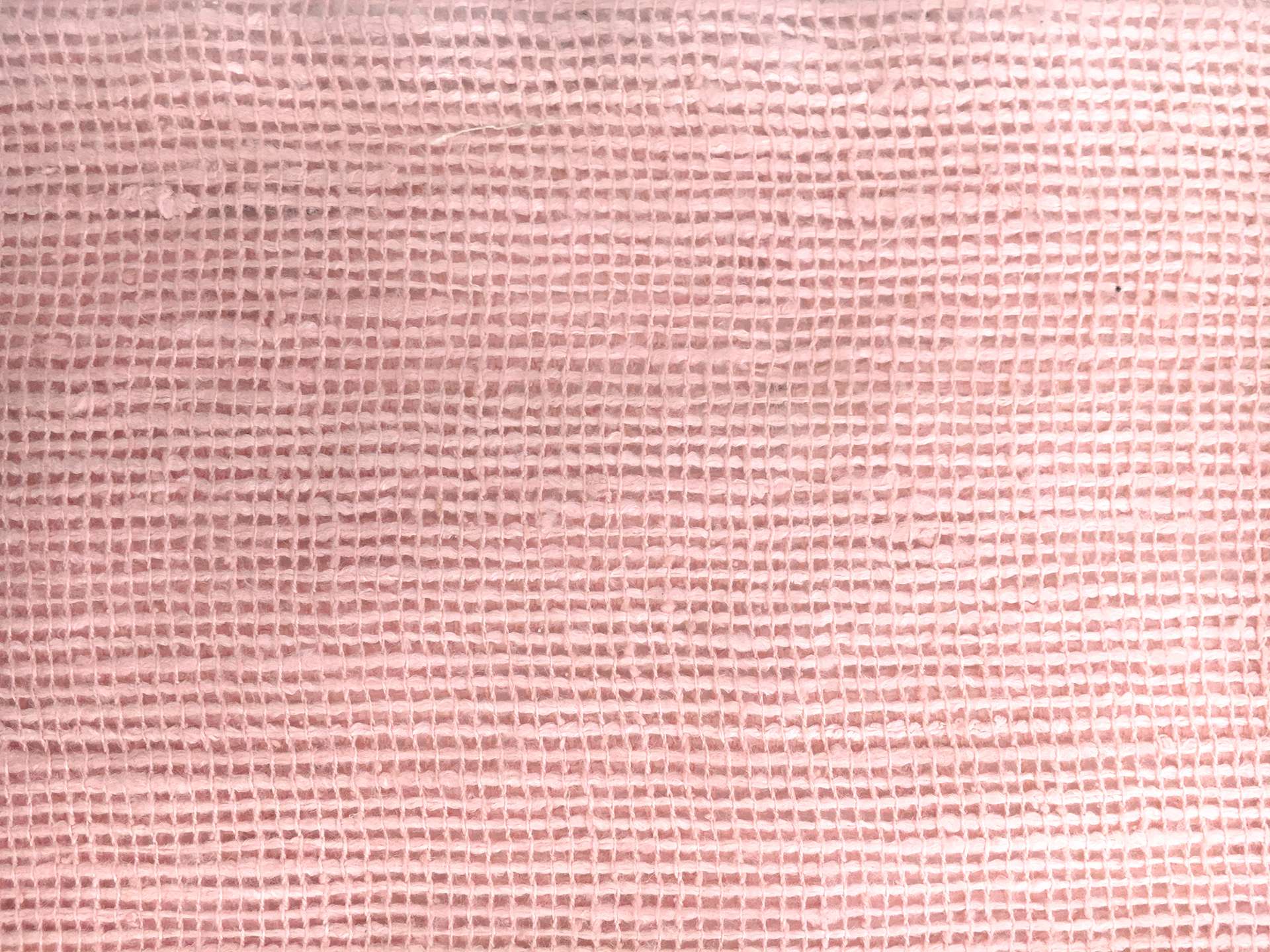 Silk Mesh in Light Pink