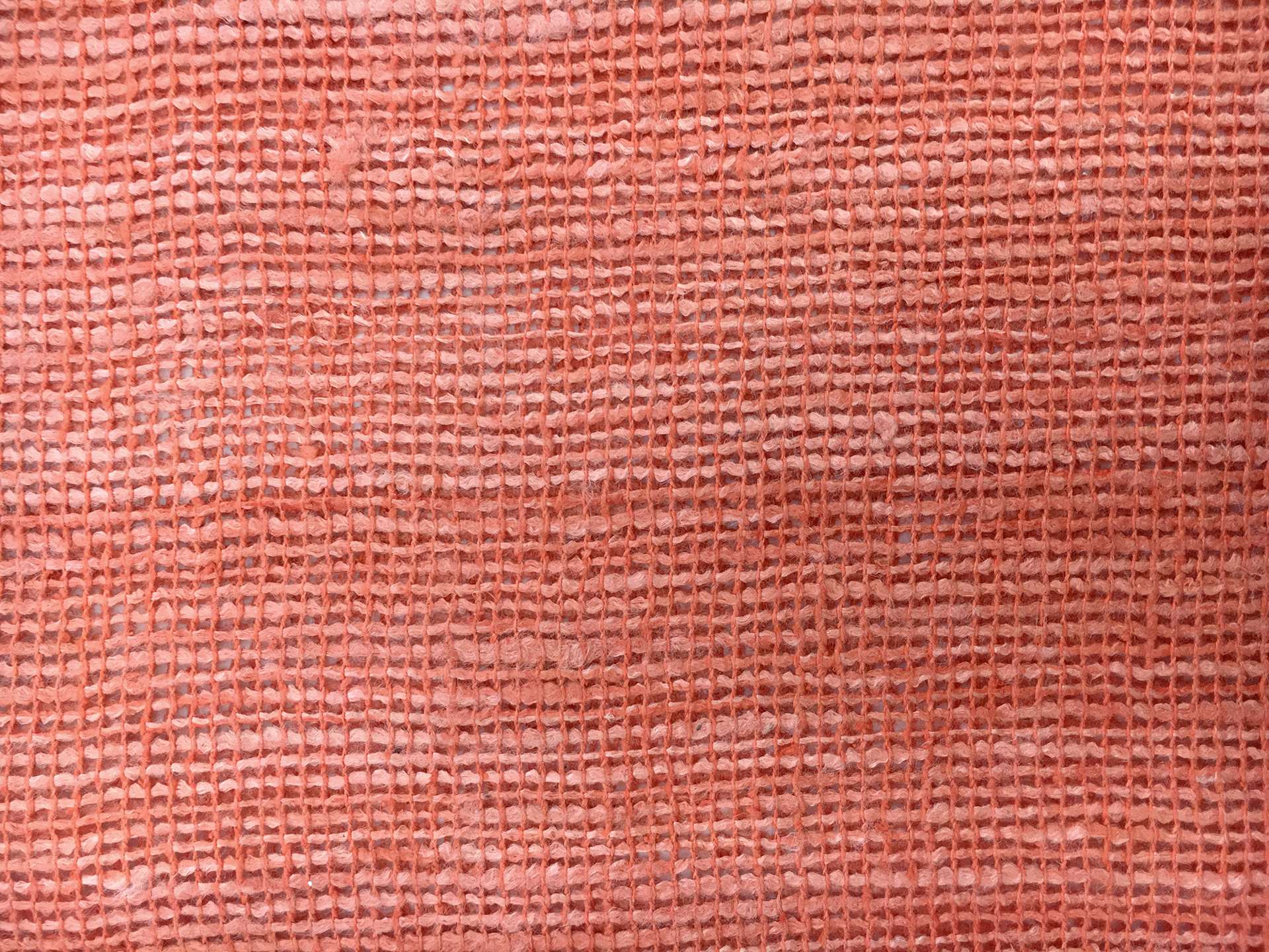 Silk Mesh in Coral