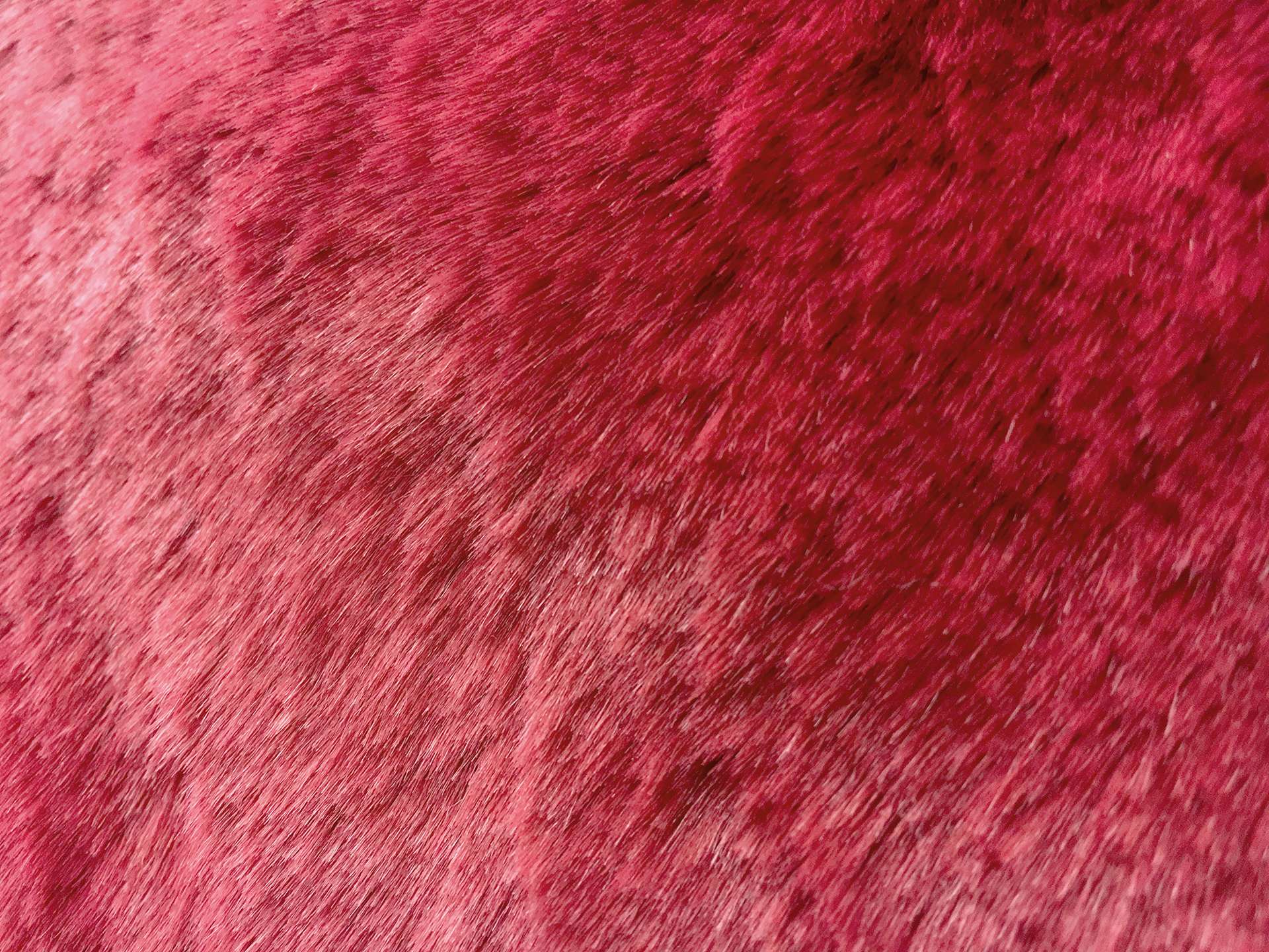 Luxury Sable Faux Fur in Cerise Red
