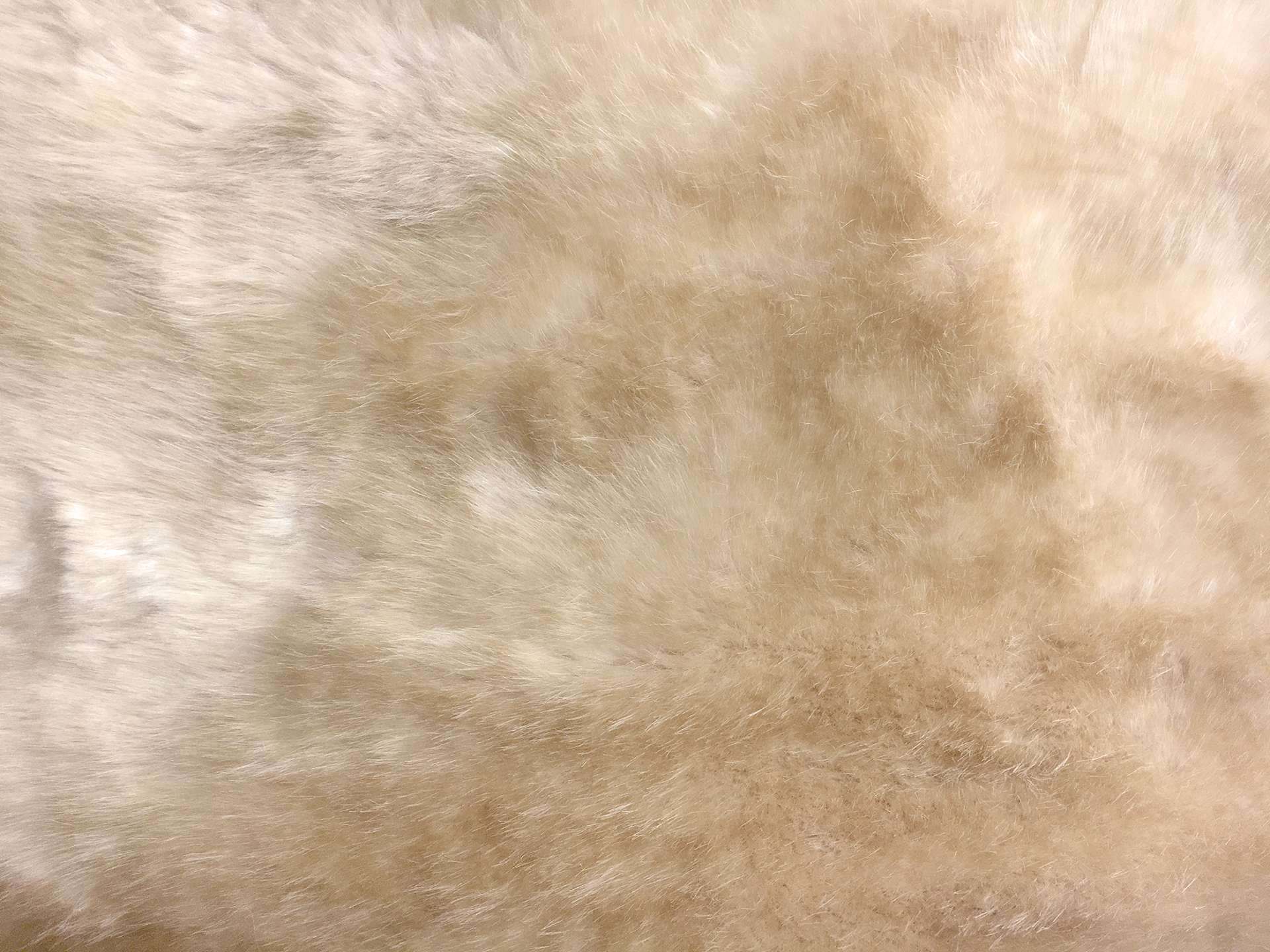 Luxury Sable Faux Fur in Blonde