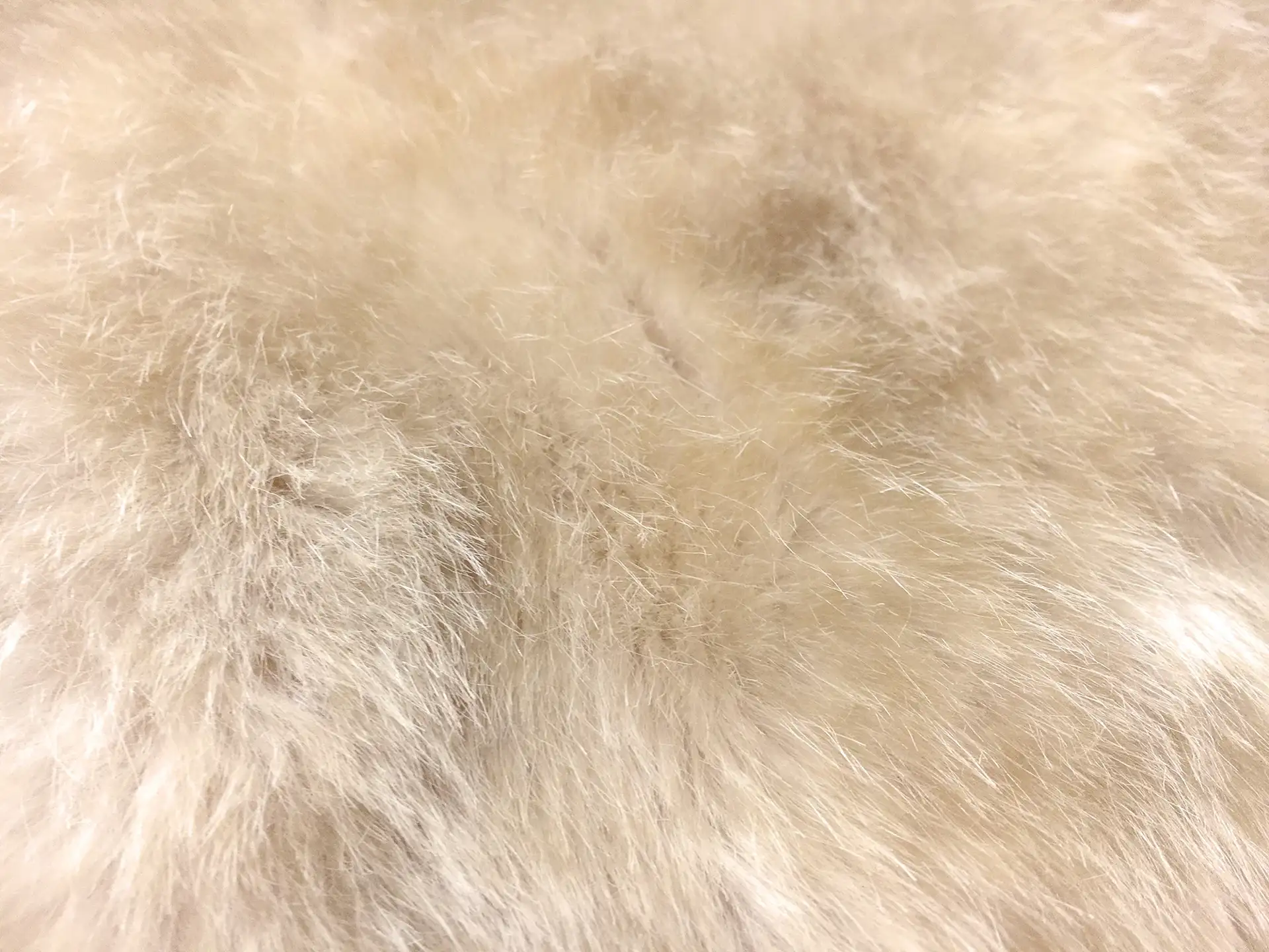 Luxury Sable Faux Fur in Blonde