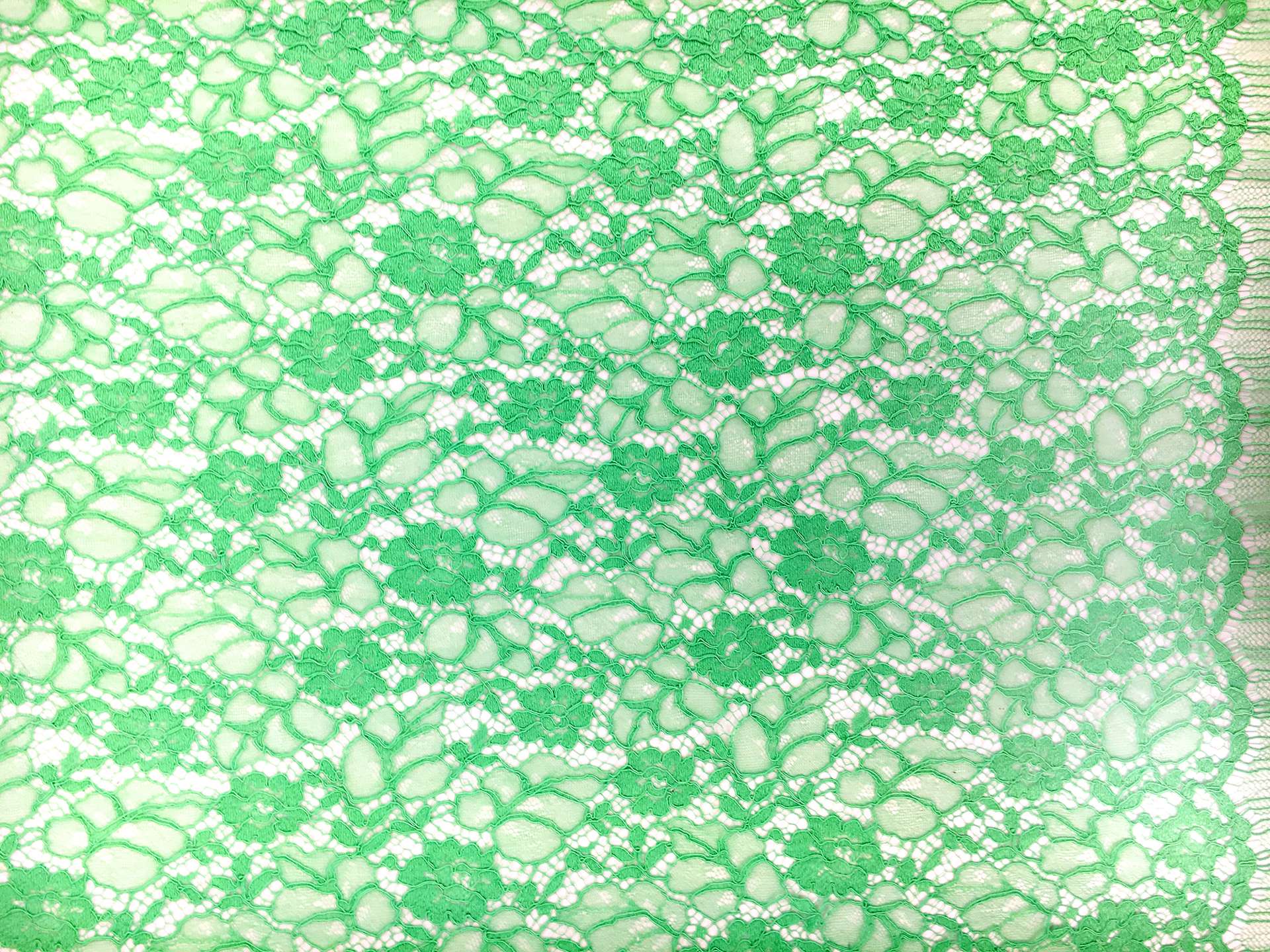French Corded Chantilly Lace in Lime