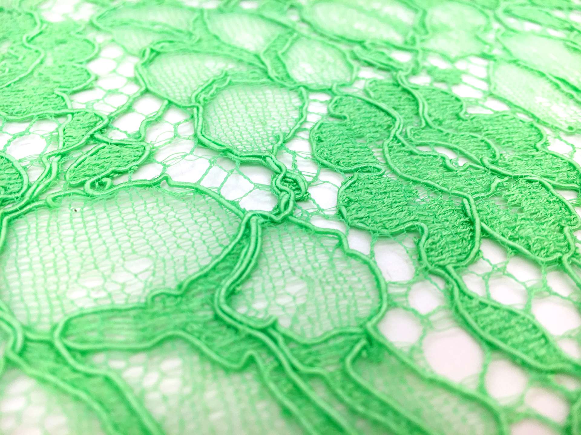 French Corded Chantilly Lace in Lime