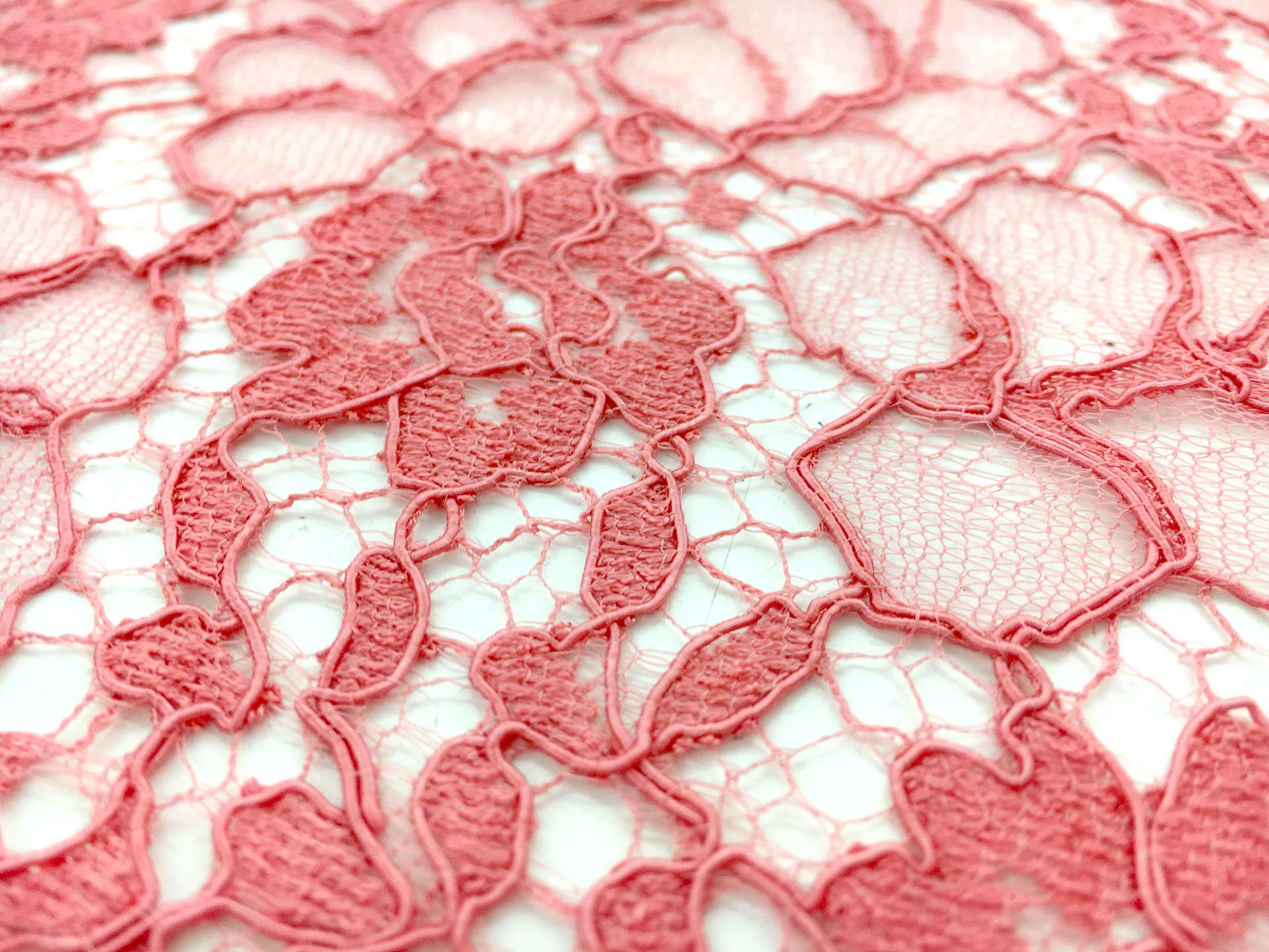 French Corded Chantilly Lace in Coral