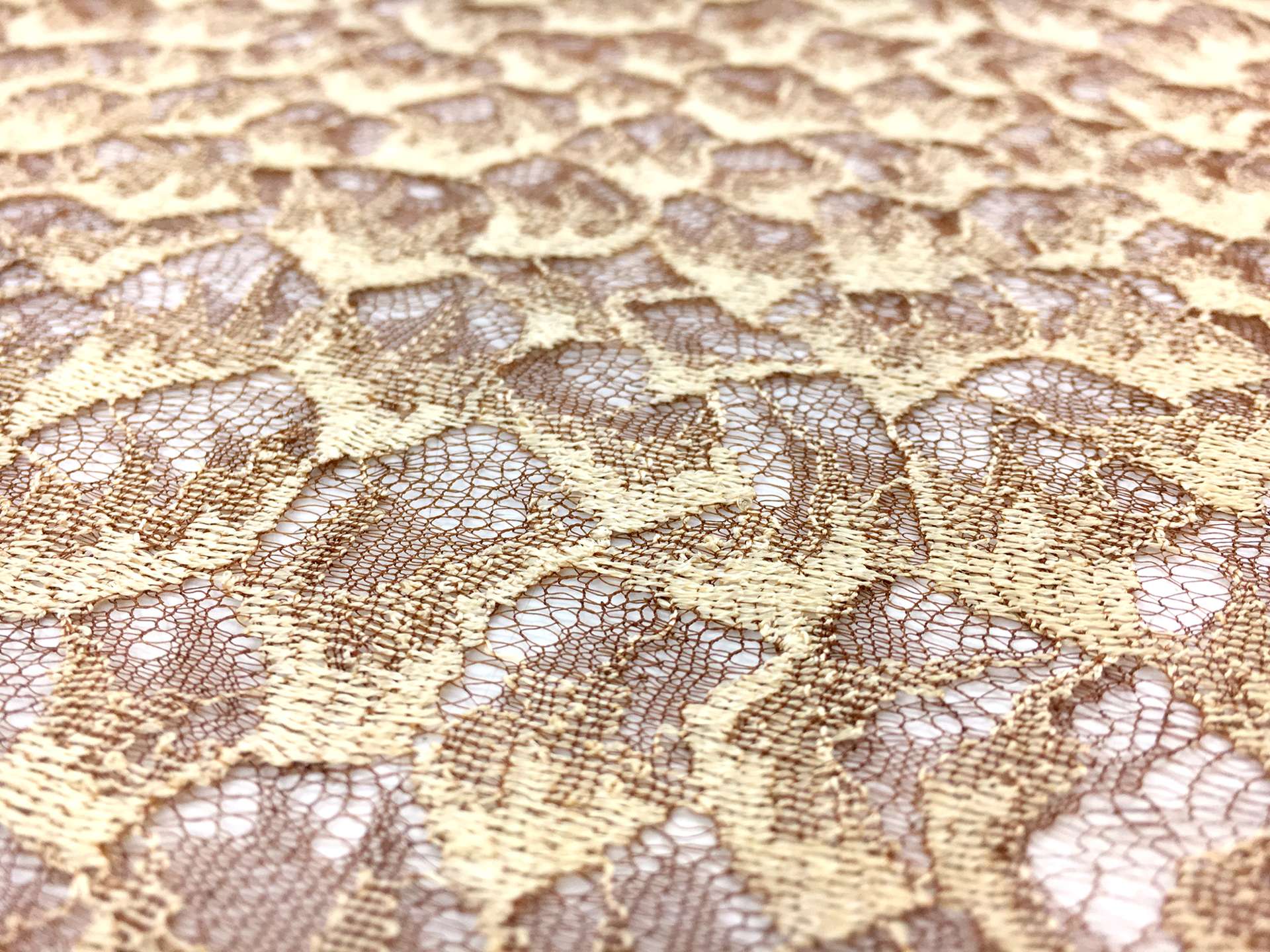 French Chantilly Lace Beige & Brown