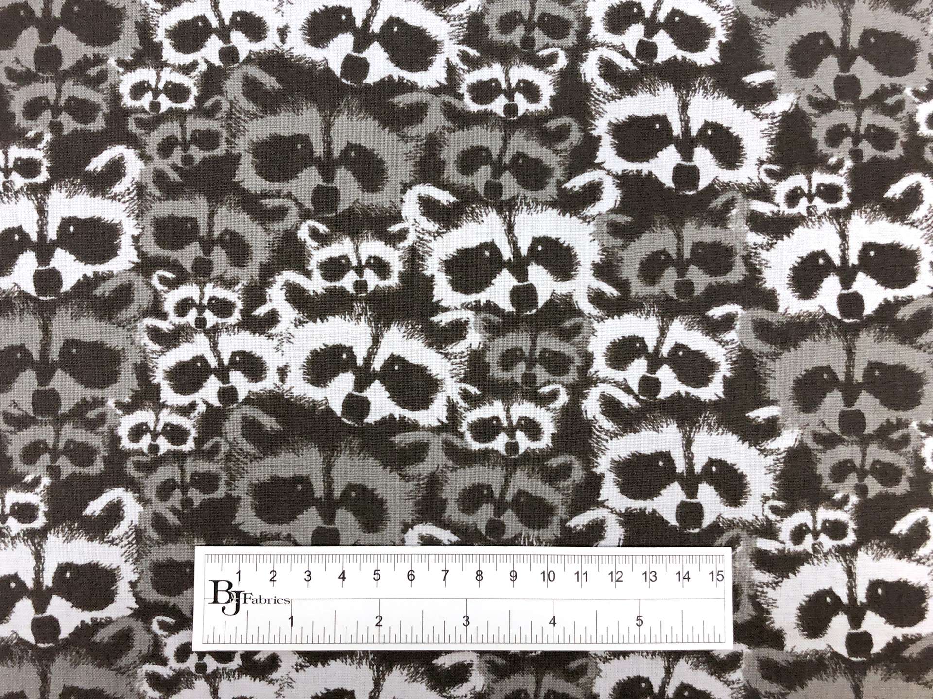 Cotton Broadcloth Racoons Print
