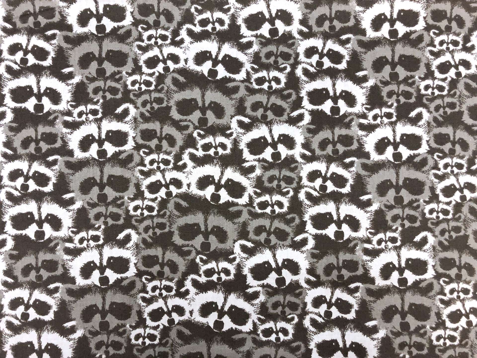Cotton Broadcloth Racoons Print