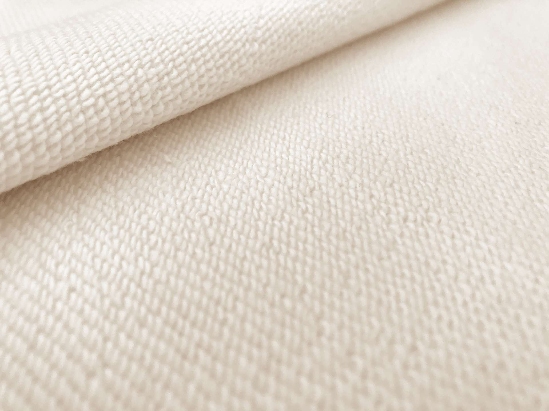 Japanese French Terry Knit in Ivory