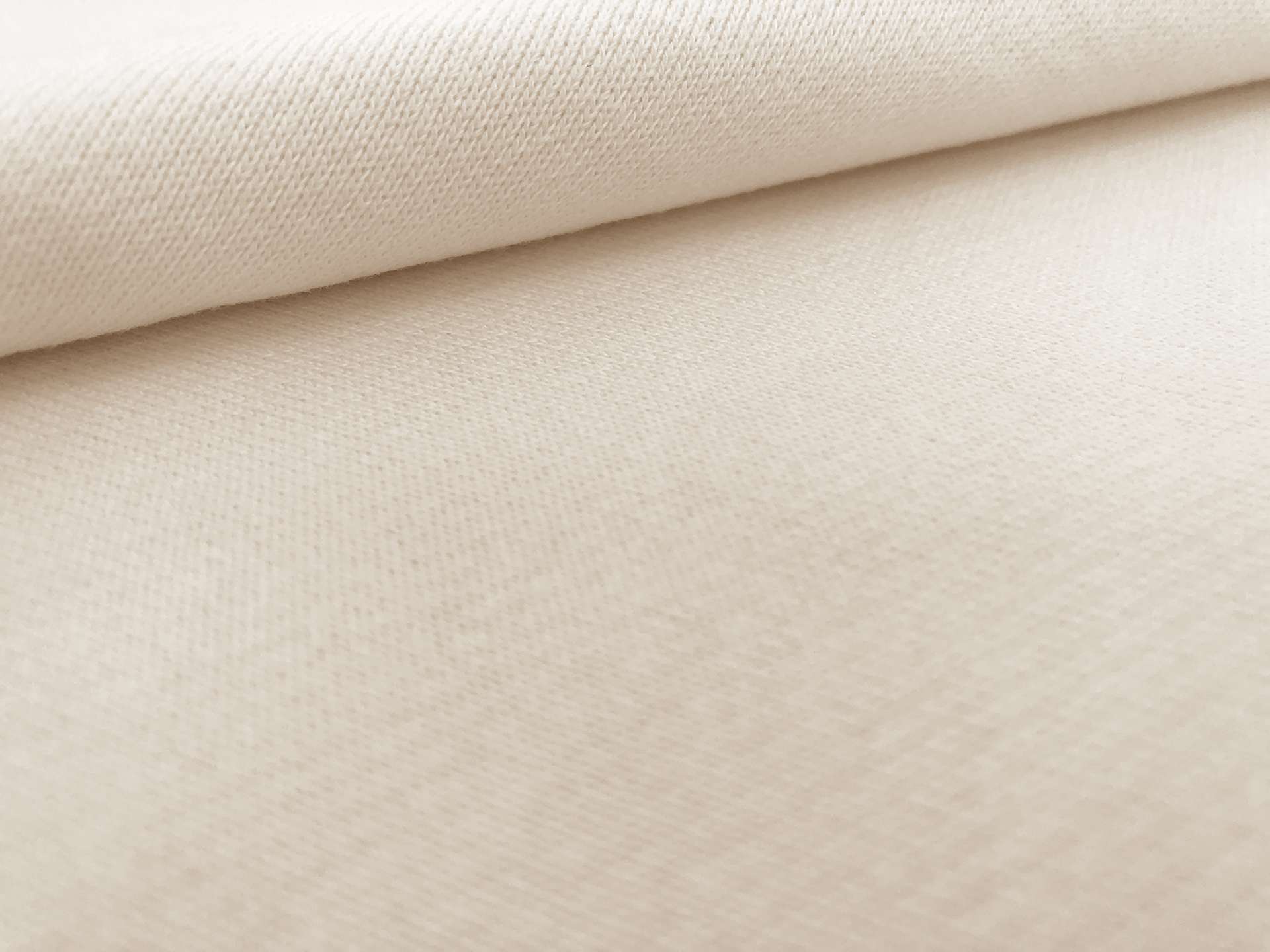 Japanese French Terry Knit in Ivory