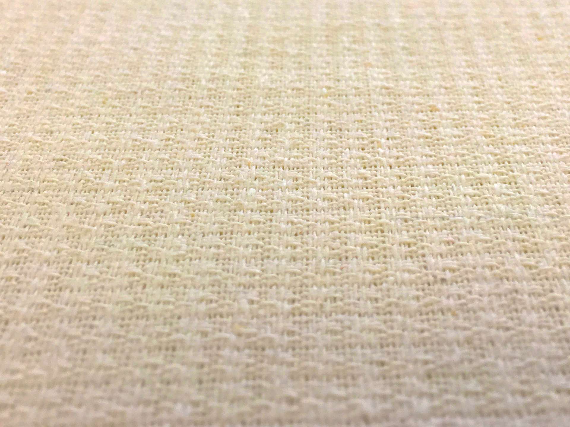 Textured Silk Noil in Cream
