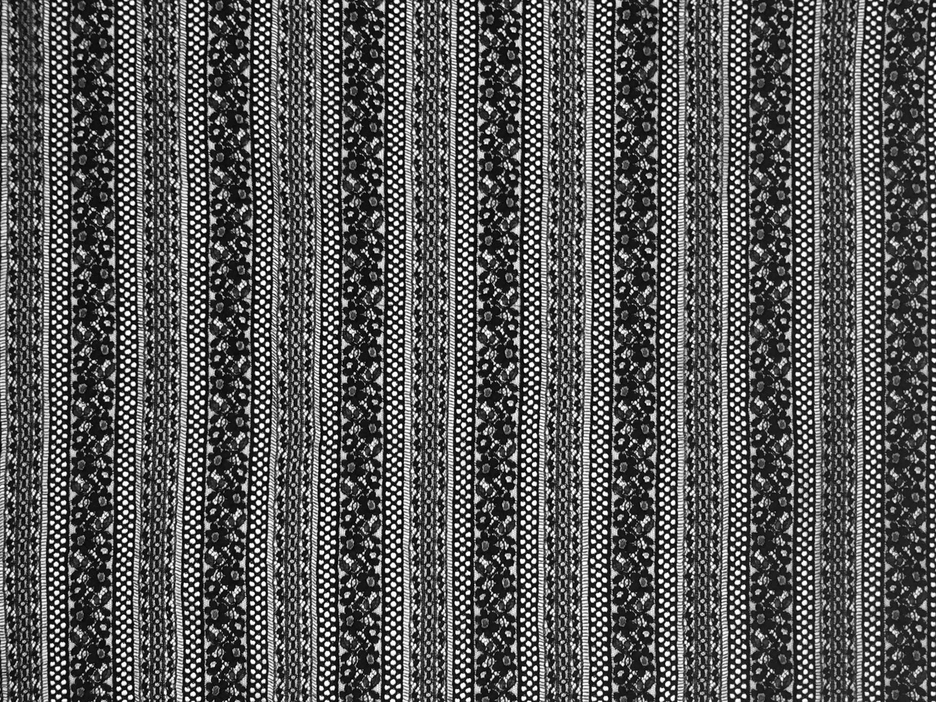 Corded Chantilly Lace with Striped Floral Pattern in Black