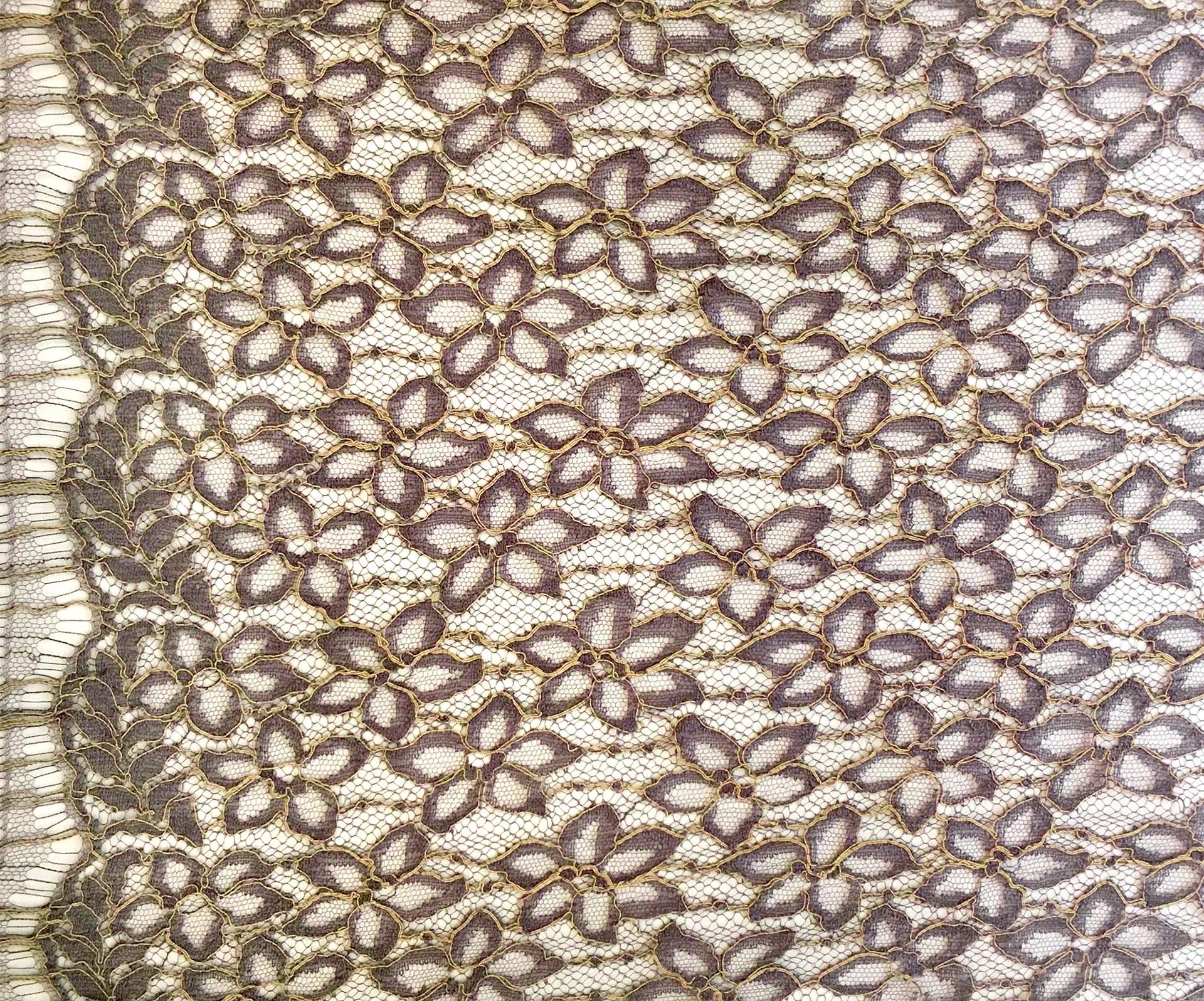 Corded Chantilly Lace in Brown