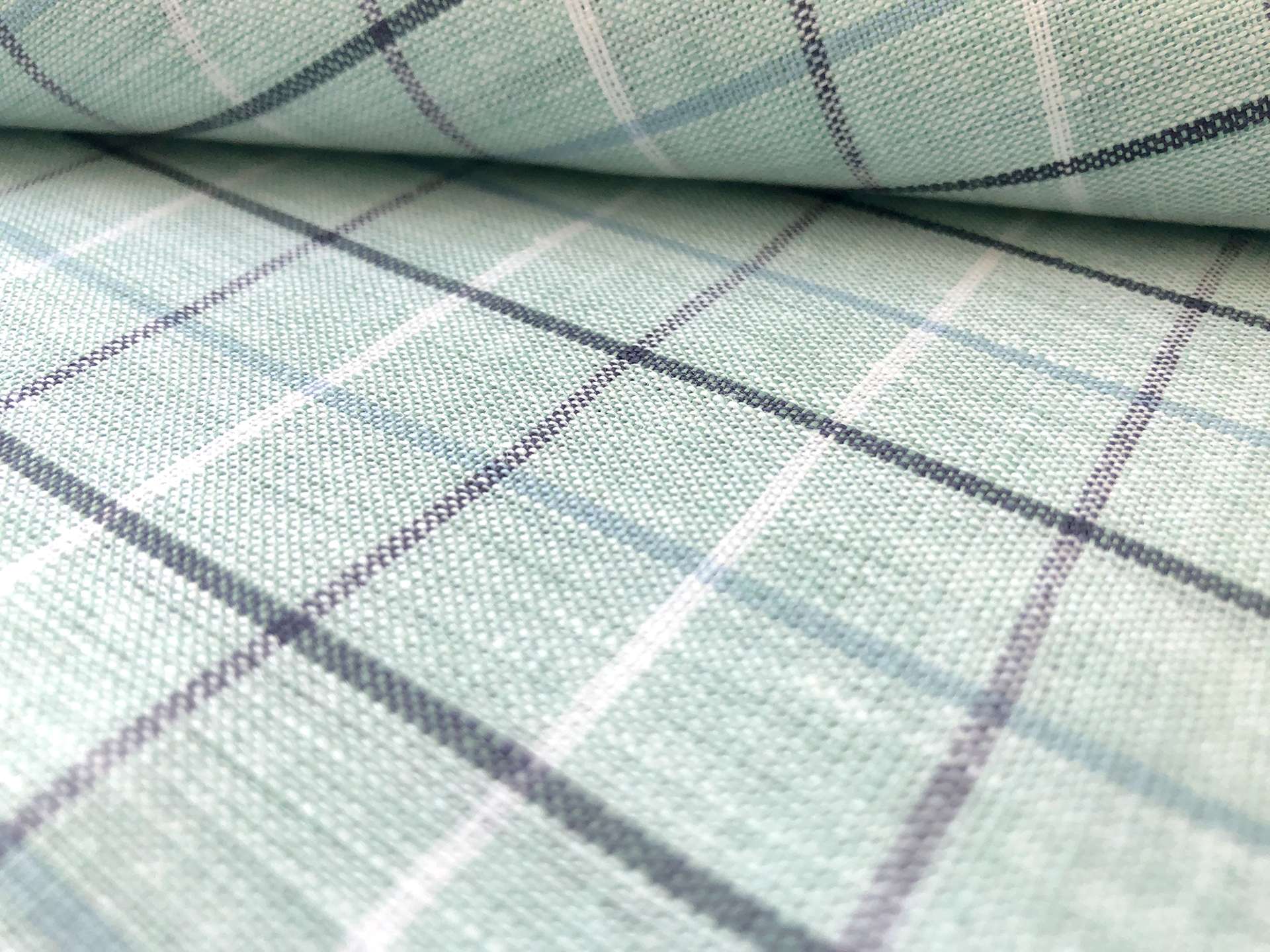 Sanforized Linen Plaid in Mint