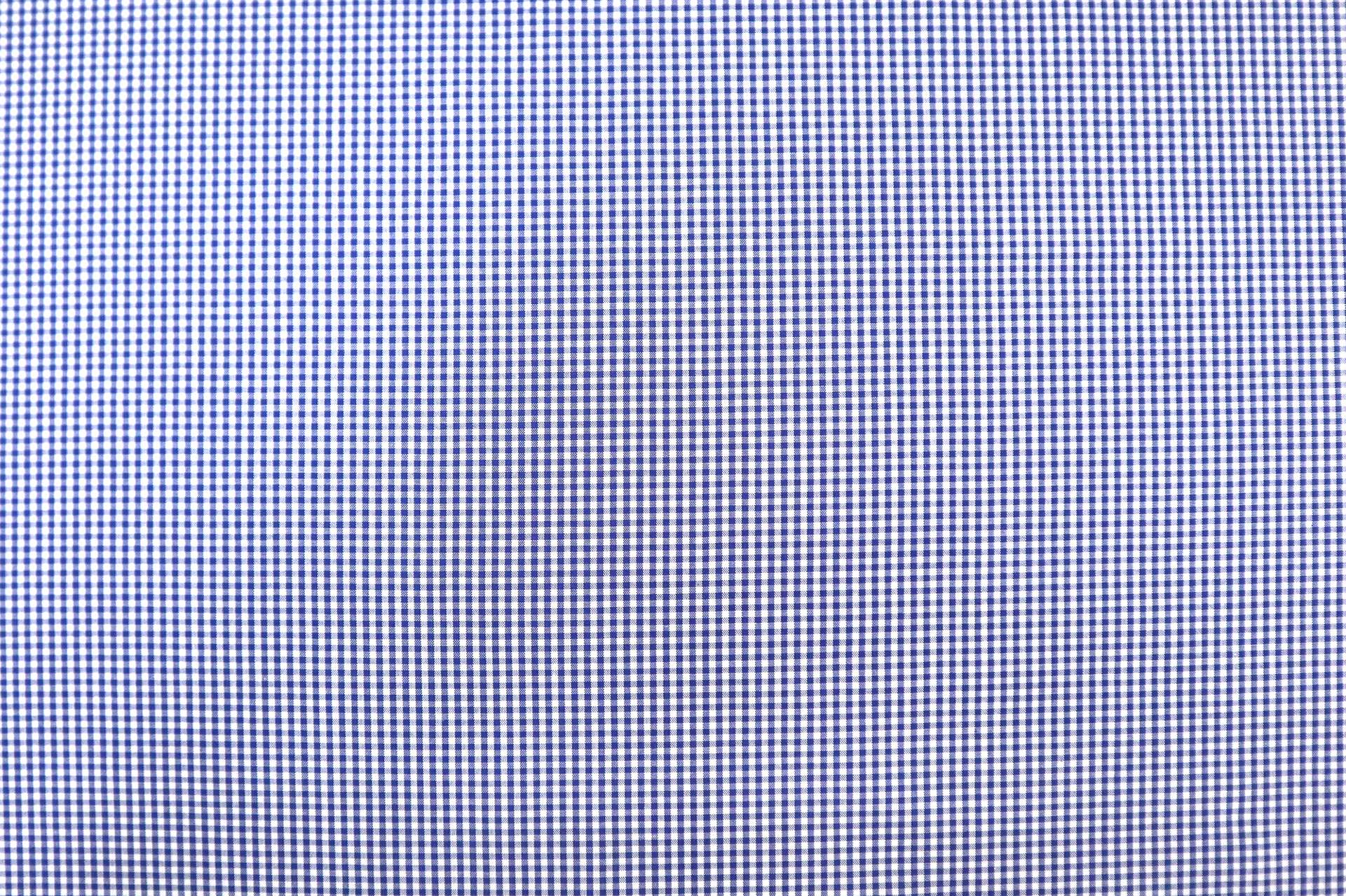 Pima Cotton Micro Gingham in Blue