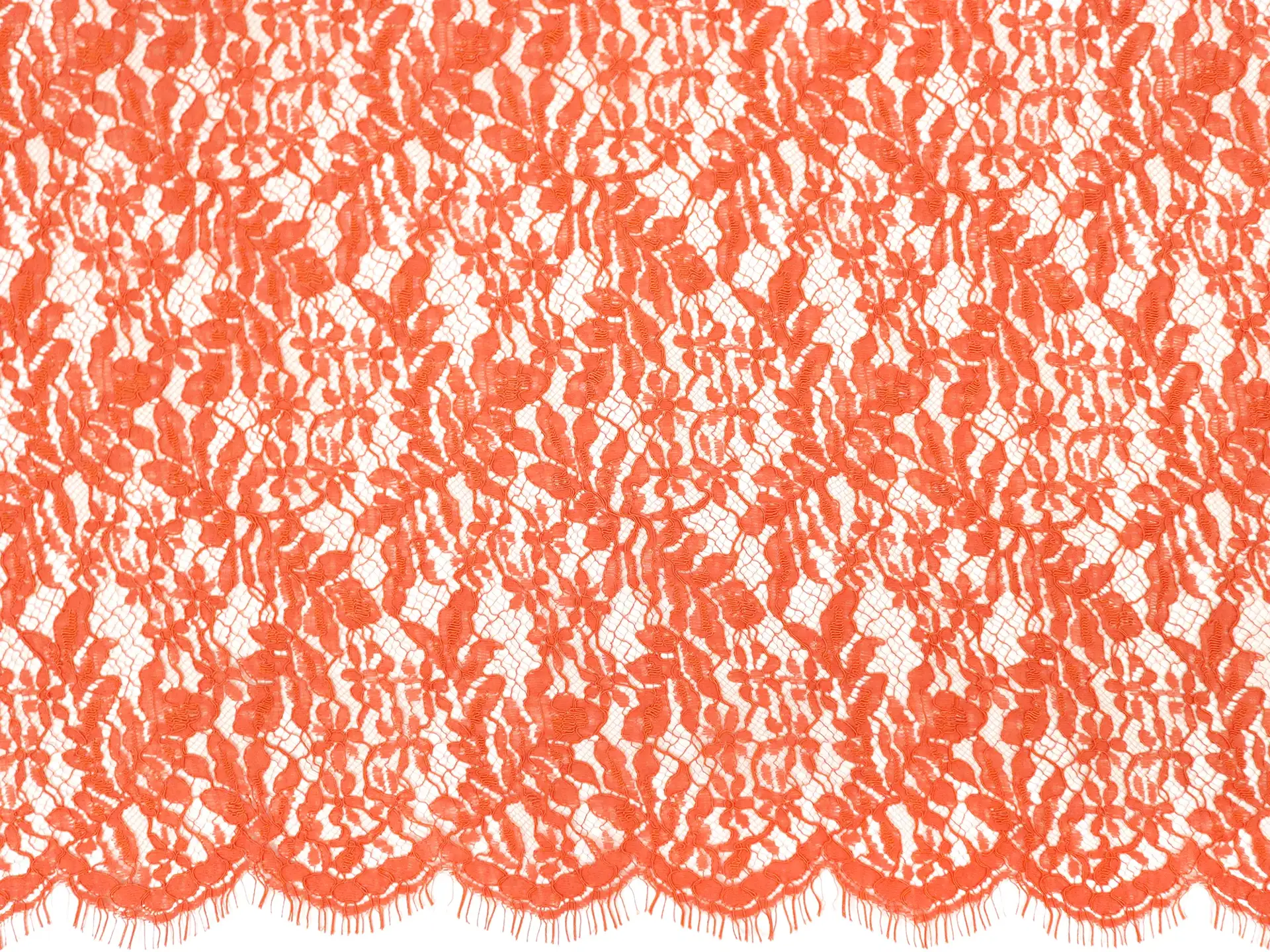 Corded Chantilly Lace with Florals in Orange