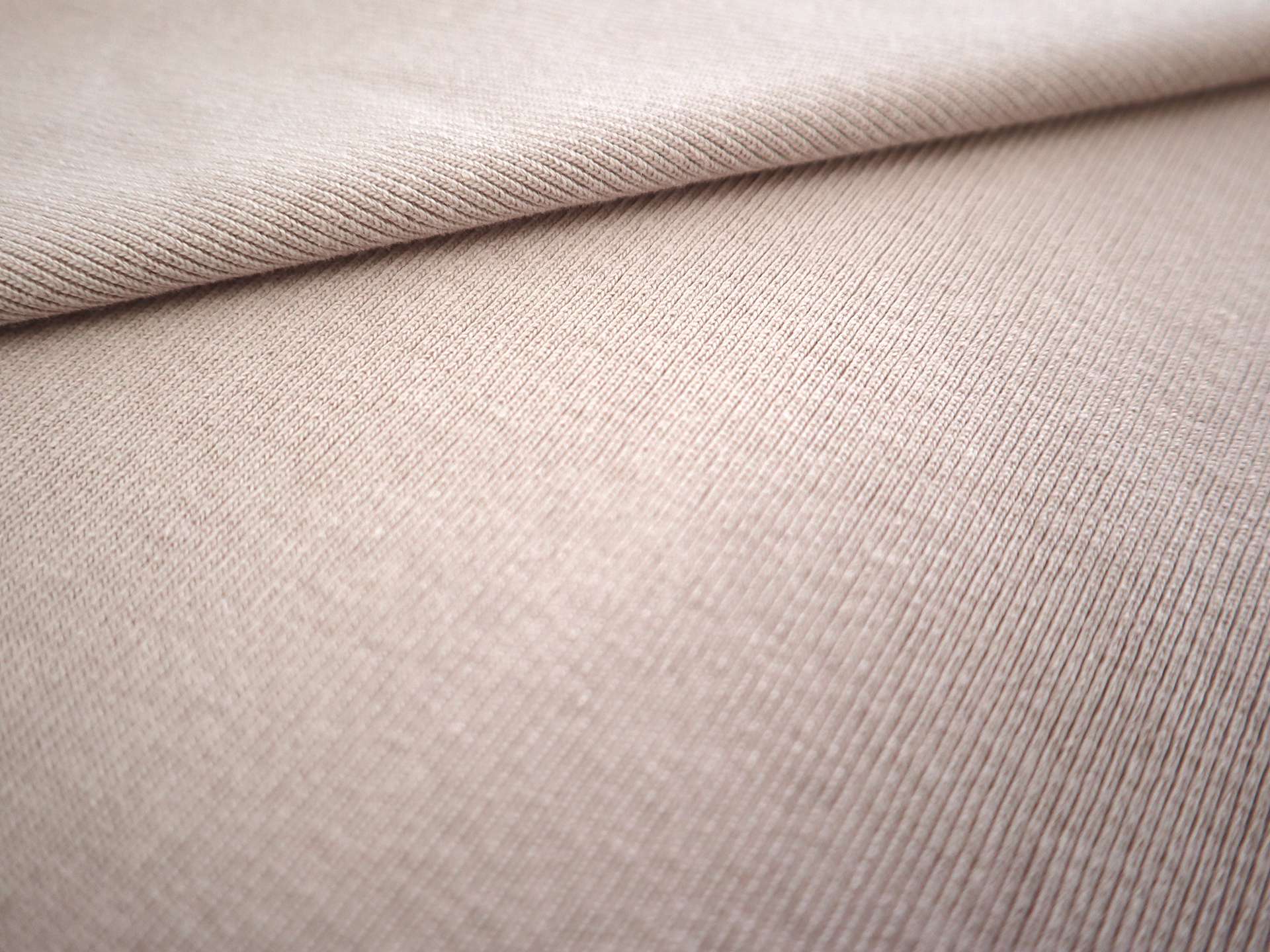 Japanese Cotton Rib Knit in Blush
