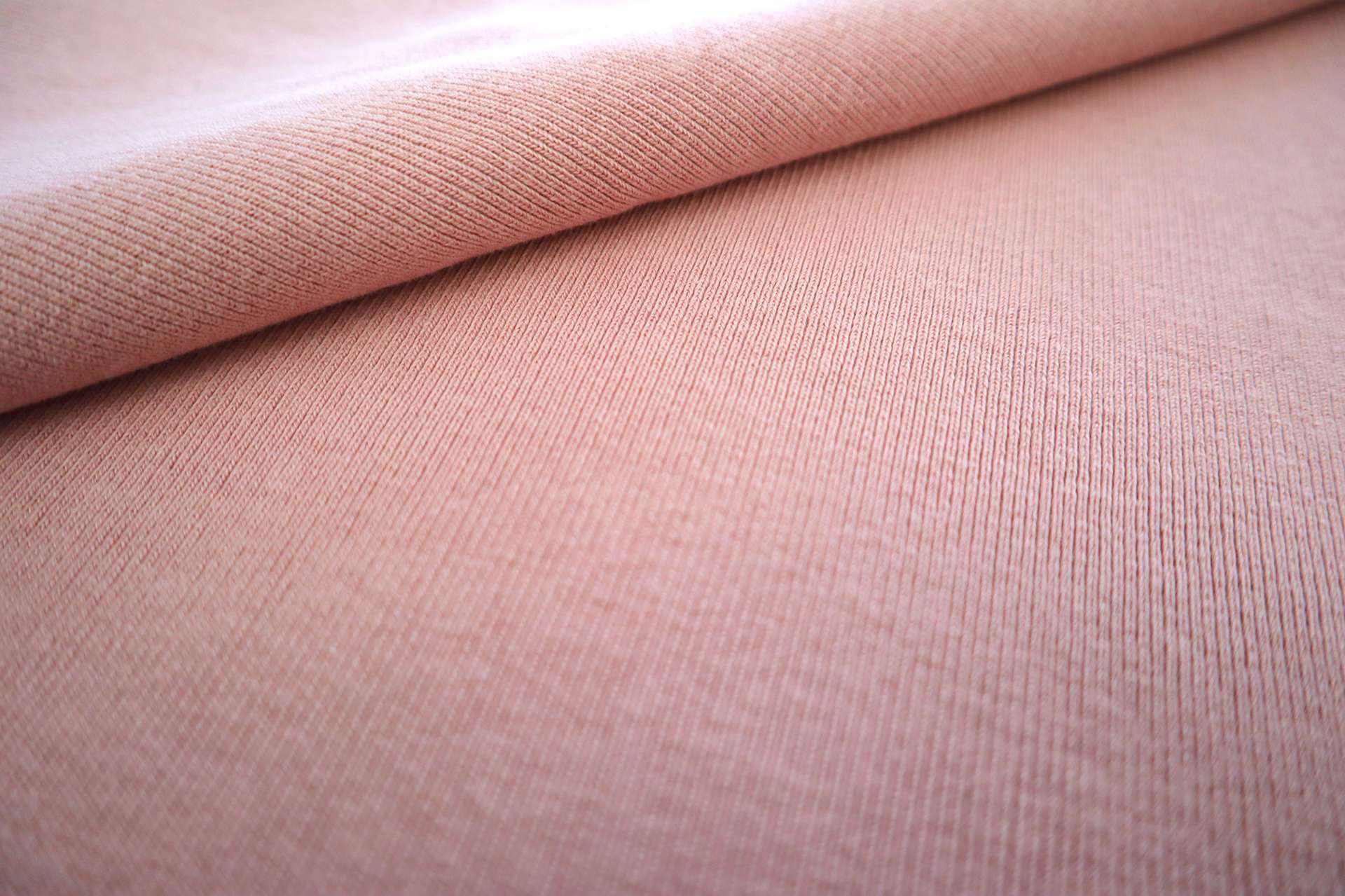 Japanese Cotton Rib Knit in Rose