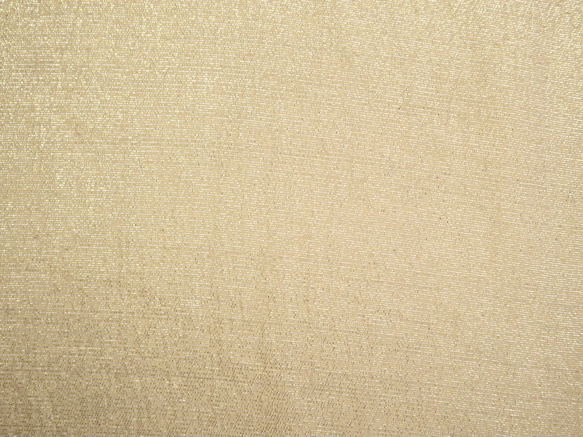 Lightweight Silk Lame in Champagne
