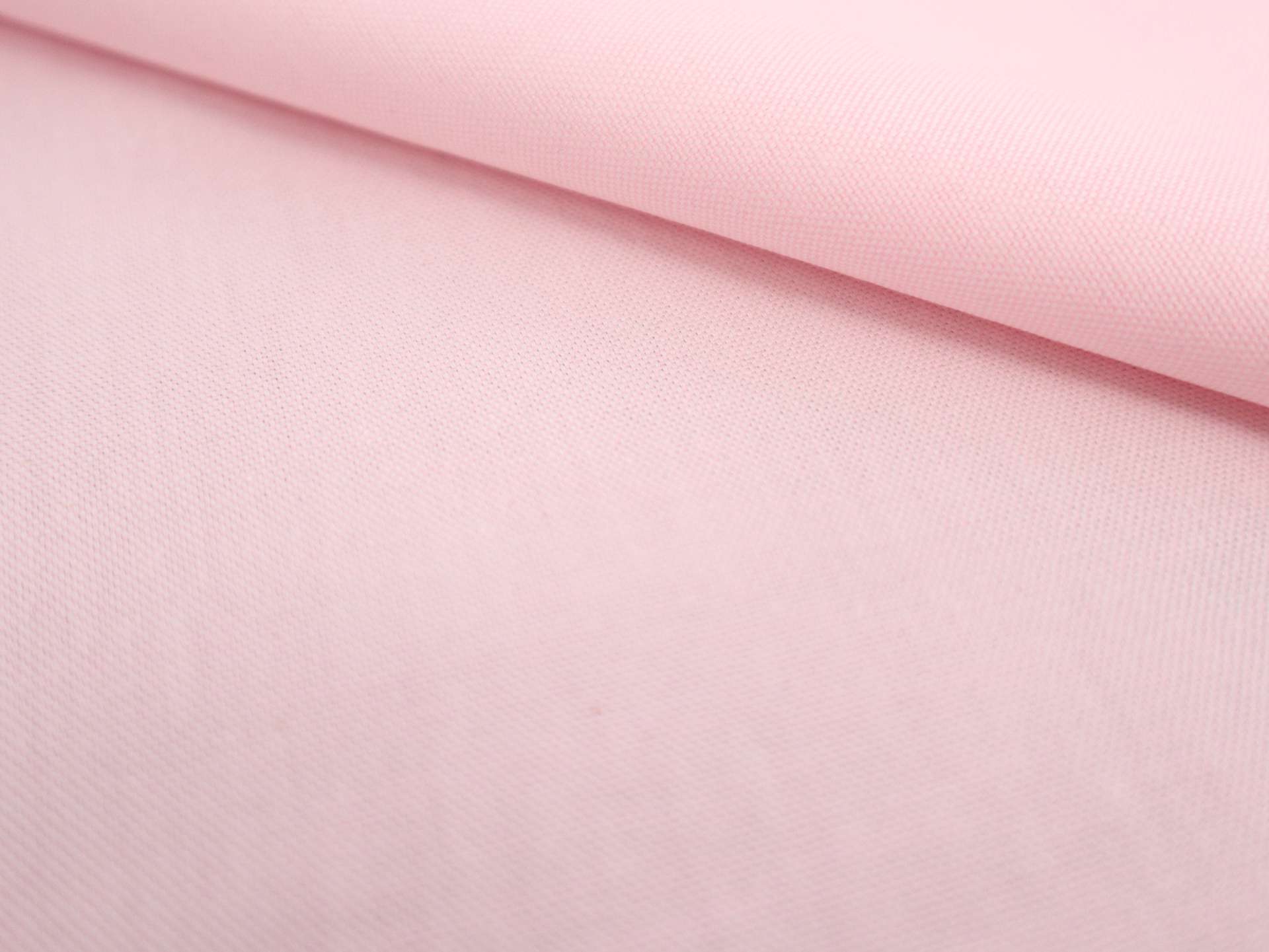 Pima Cotton Oxford in Carnation Pink