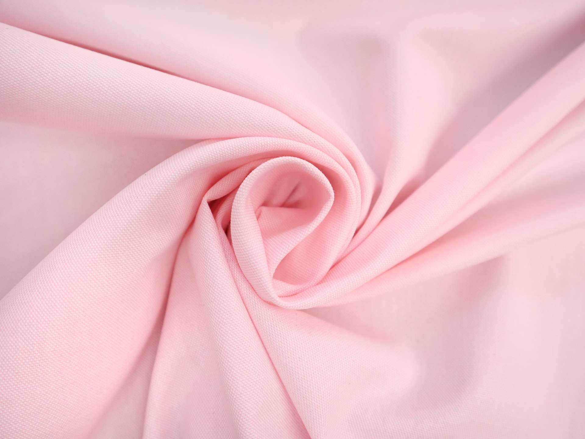 Pima Cotton Oxford in Carnation Pink
