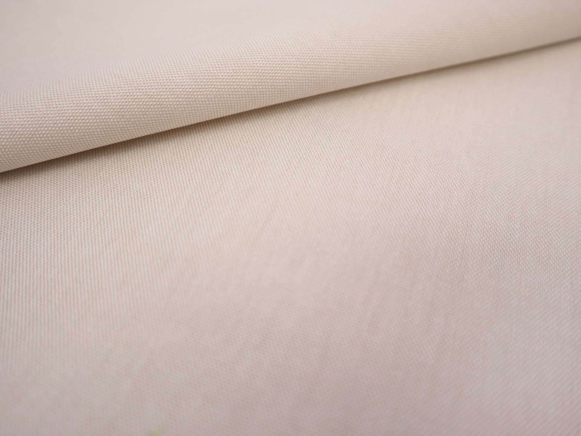 Pima Cotton Oxford in Champagne