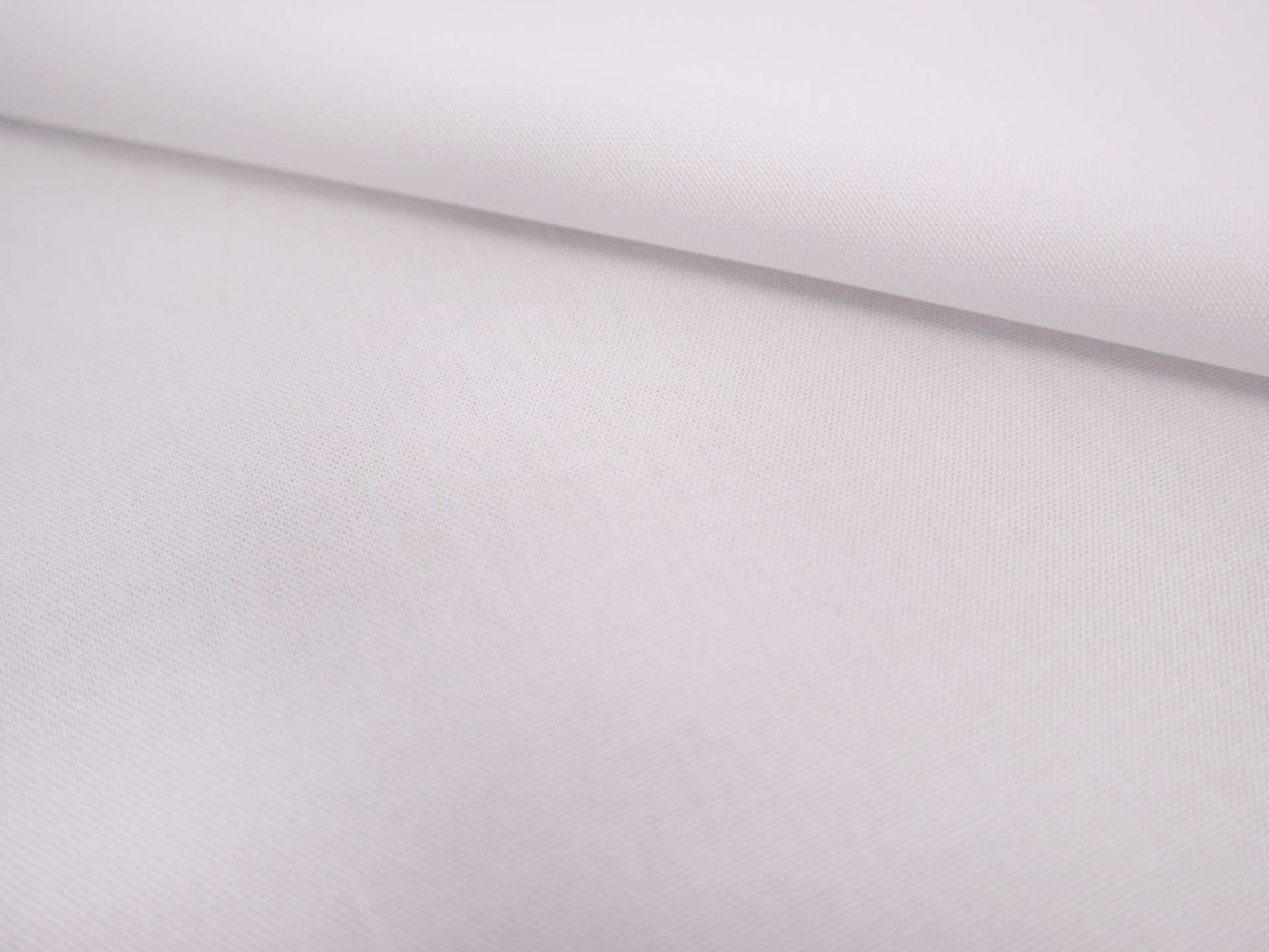 Pima Cotton Oxford in White 