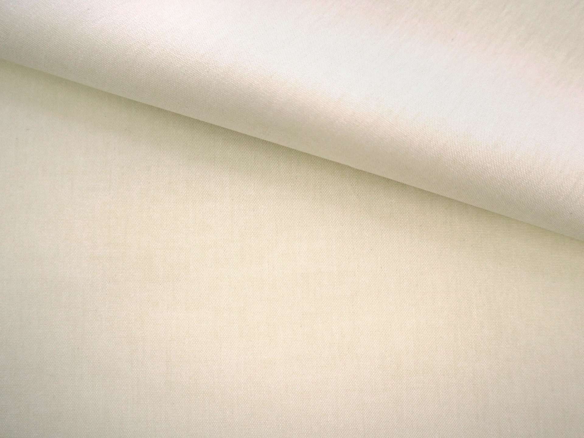 Cotton Chambray in Bone