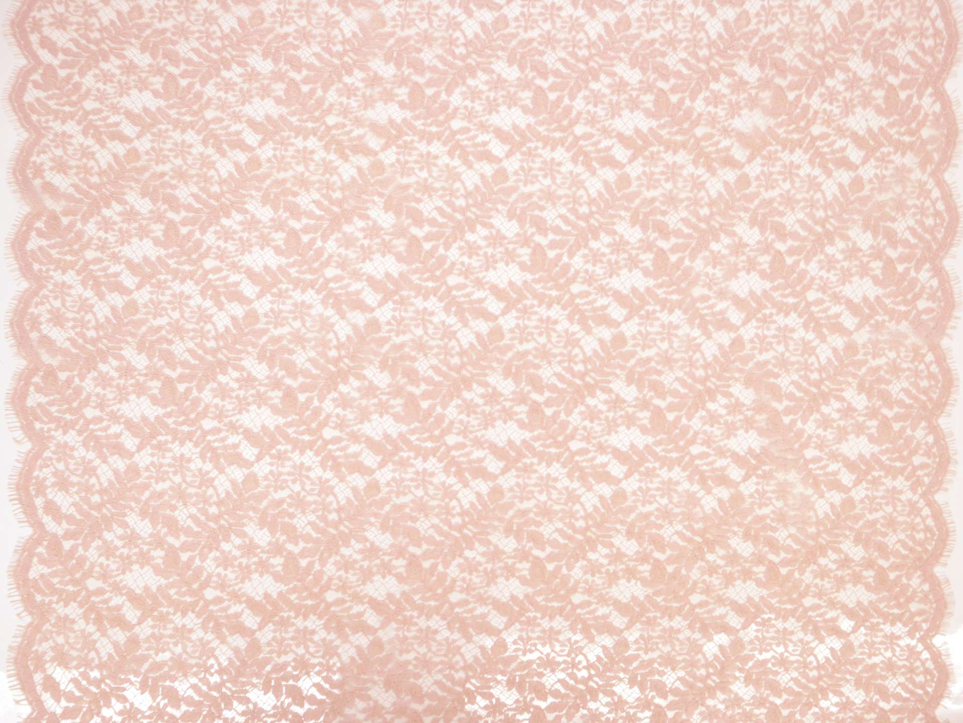Corded Chantilly Lace with Flowers & Leaves in Rose